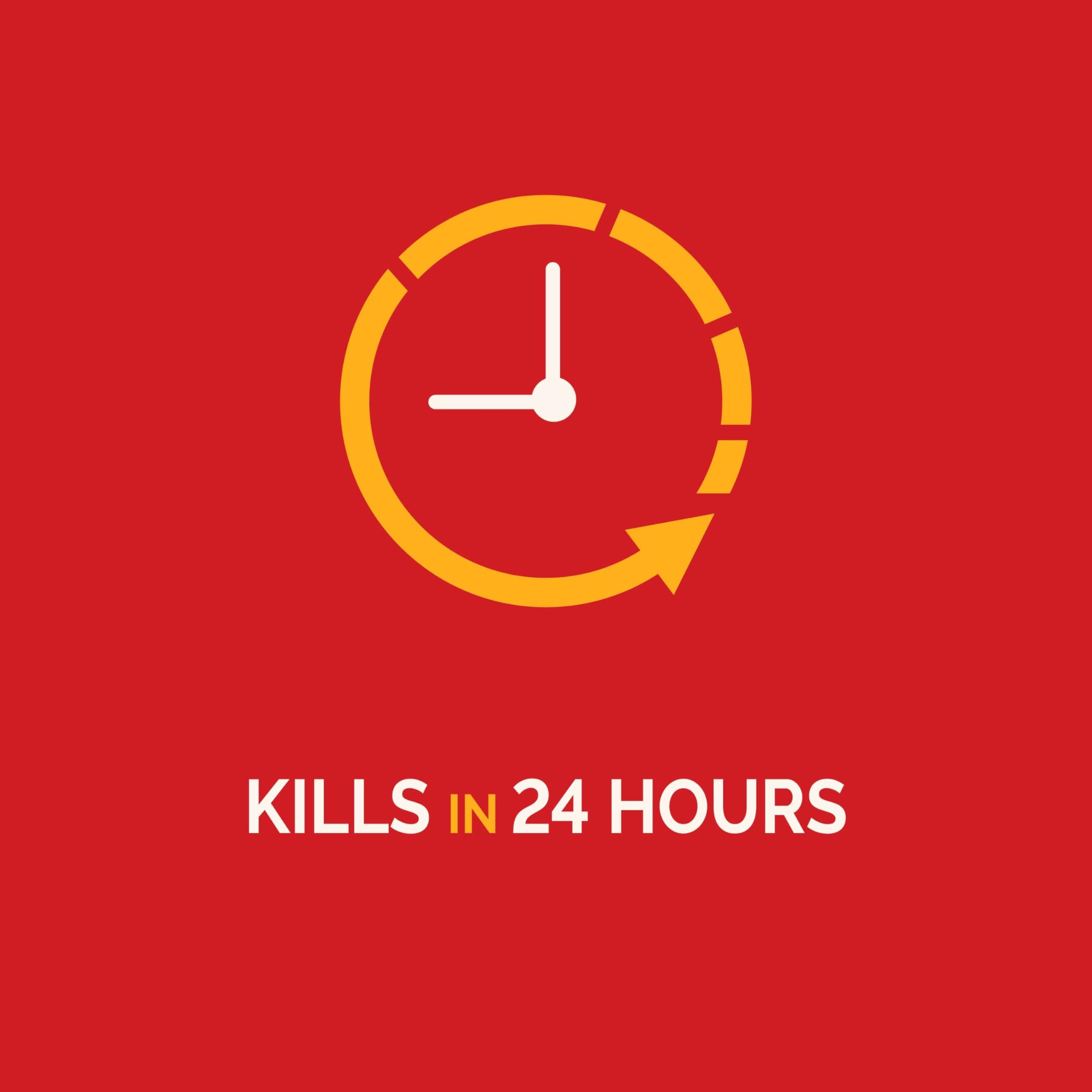 Hot Shot Ultra Liquid Ant Bait 4 Count | Kills Queen & Colony in 24 Hours - view 4