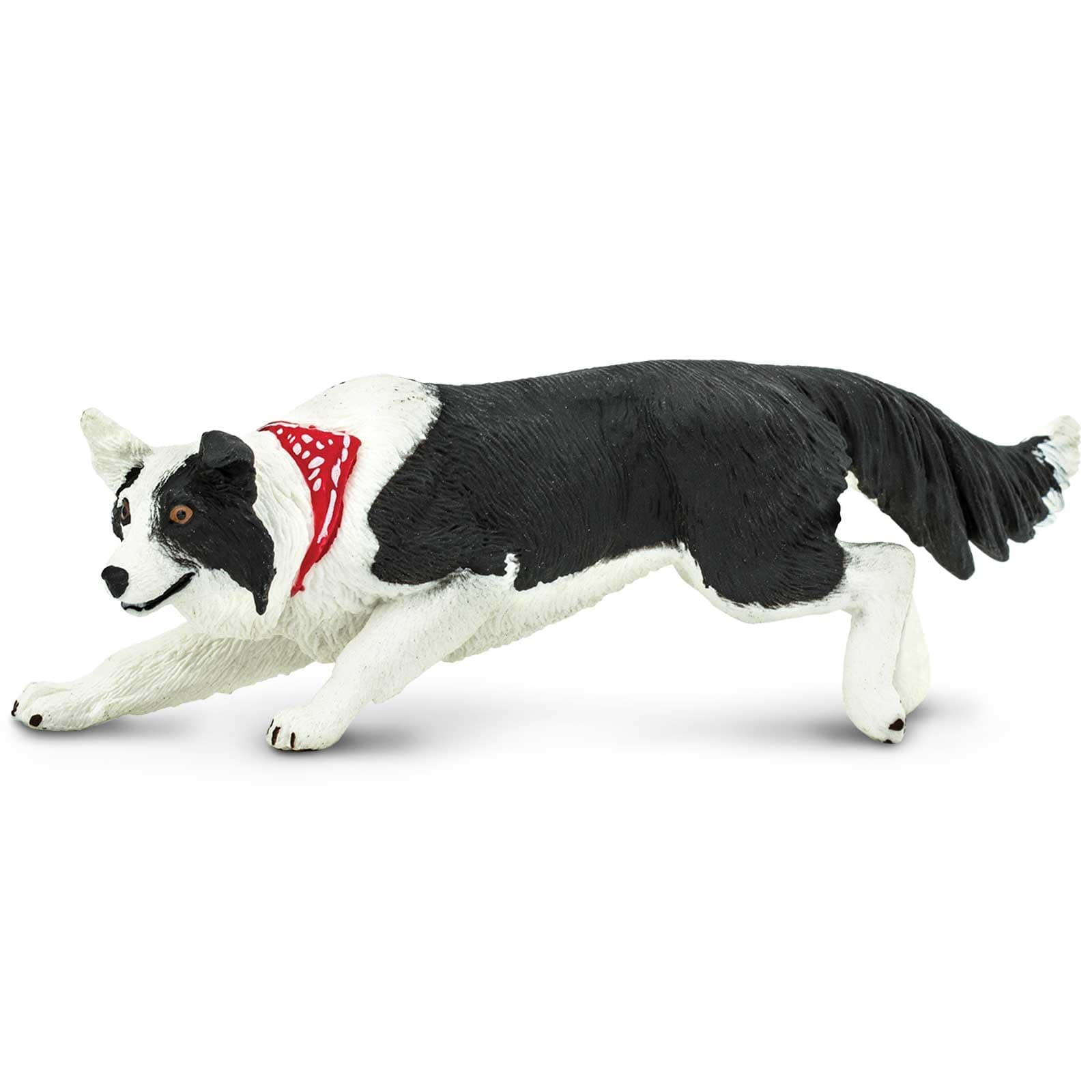 Safari Ltd. Border Collie Toy - 5 Inch Realistic Pet Figure for Kids | Hand-Painted, Safe, Educational - view 4