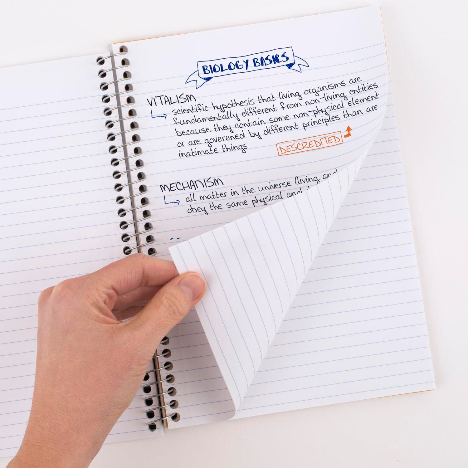 Five Star Spiral Notebook 2 Subject College Ruled 80 Sheets Tidewater Blue (Pack of 12) | Lasts All Year Guaranteed - main product image
