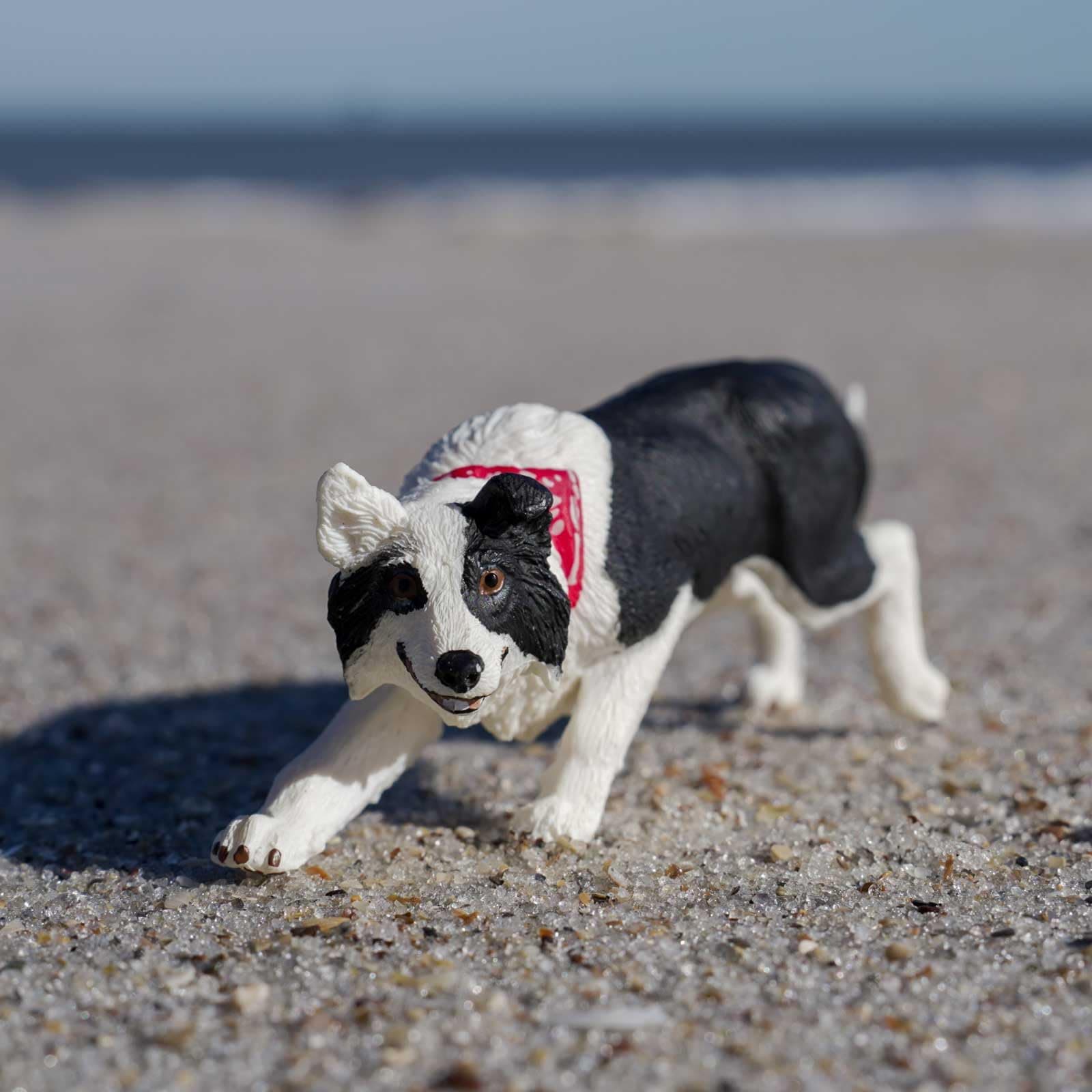 Safari Ltd. Border Collie Toy - 5 Inch Realistic Pet Figure for Kids | Hand-Painted, Safe, Educational - view 2
