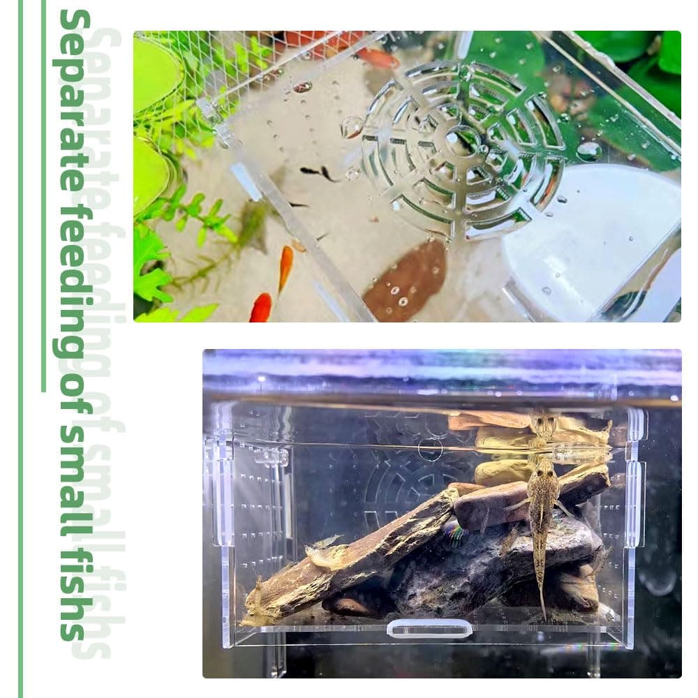 JOBEDE Acrylic Fish breeding Box 6*4*4 inch | Fish Isolation Breeder Aquarium Tank - view 3