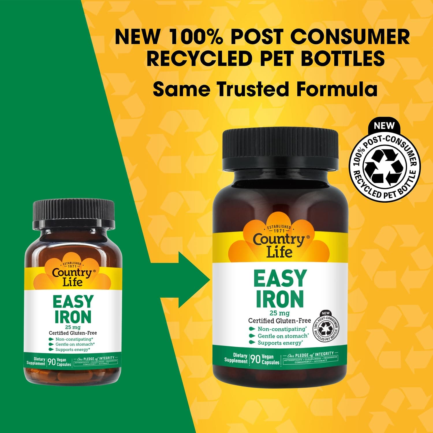 Country Life Easy Iron 25 mg with Ferrochel, 90 Capsules | Gentle, Vegan Iron Supplement for Energy & Blood Support - view 5