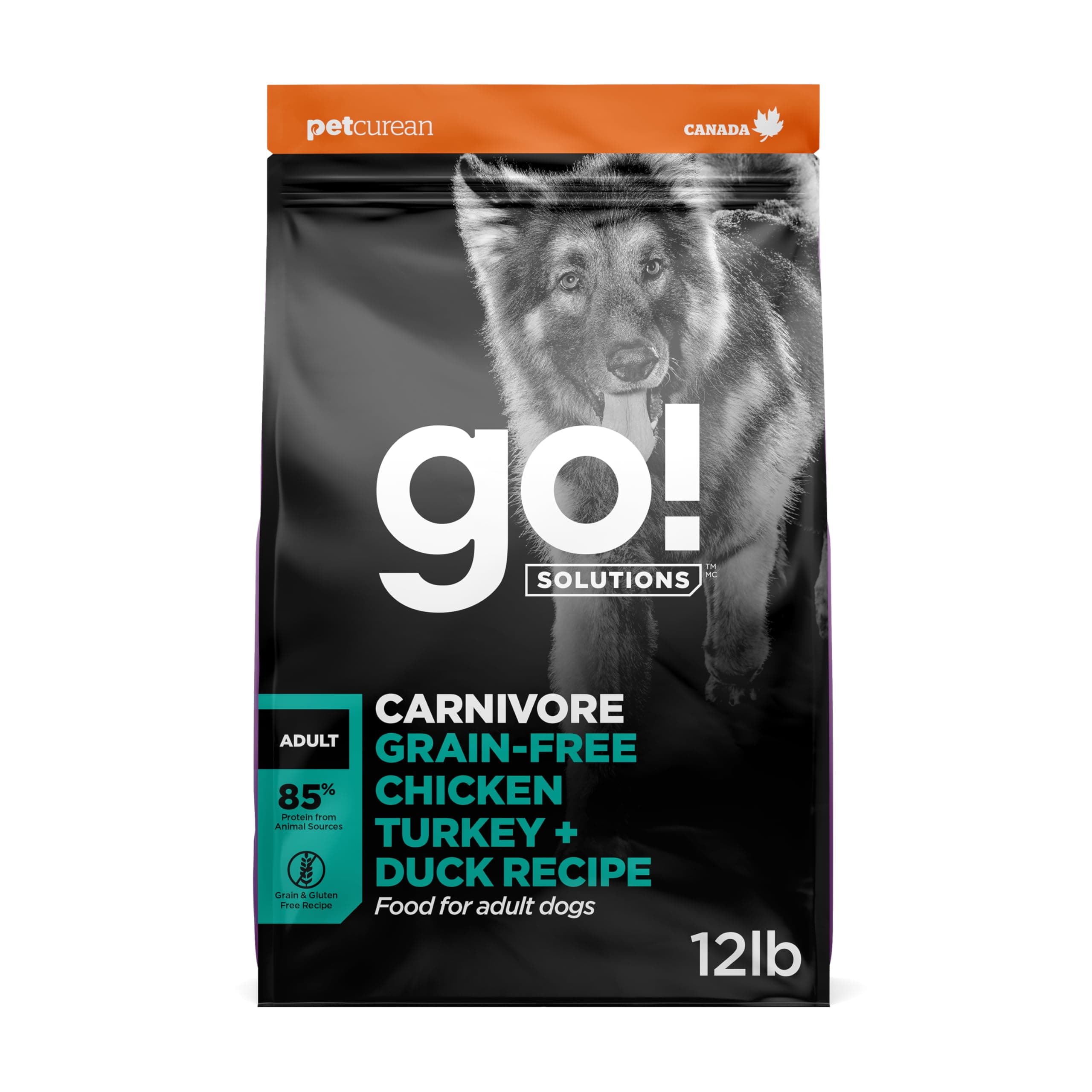 Go! Solutions Carnivore Salmon + Cod Grain-Free Dog Food 22 lb | High-Protein, Real Meat & Fish, Puppy to Senior