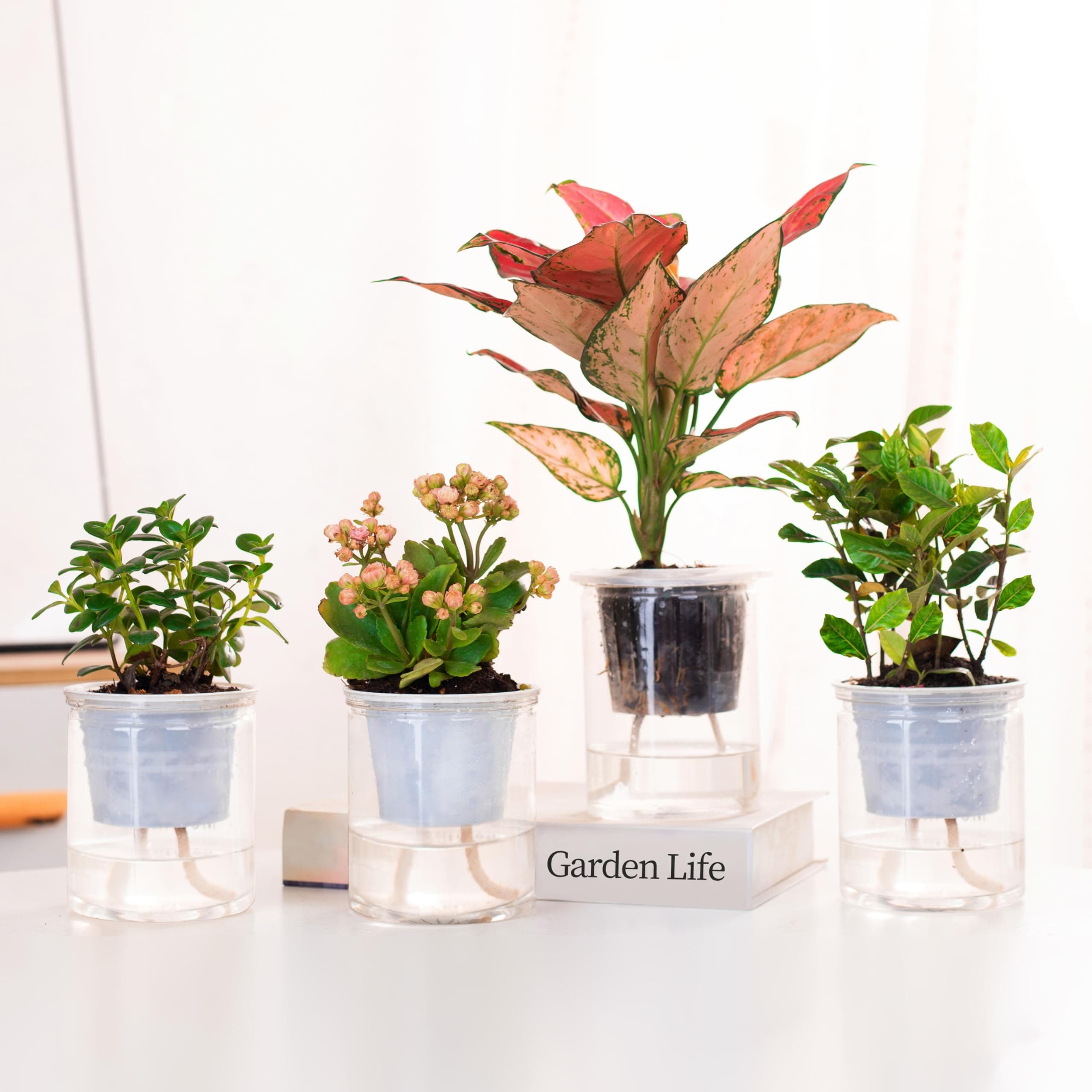 ORIMERC 15ft Self-Watering Capillary Wick Cord for Plants | Automatic Watering System for Hydroponics & Seedlings - view 4