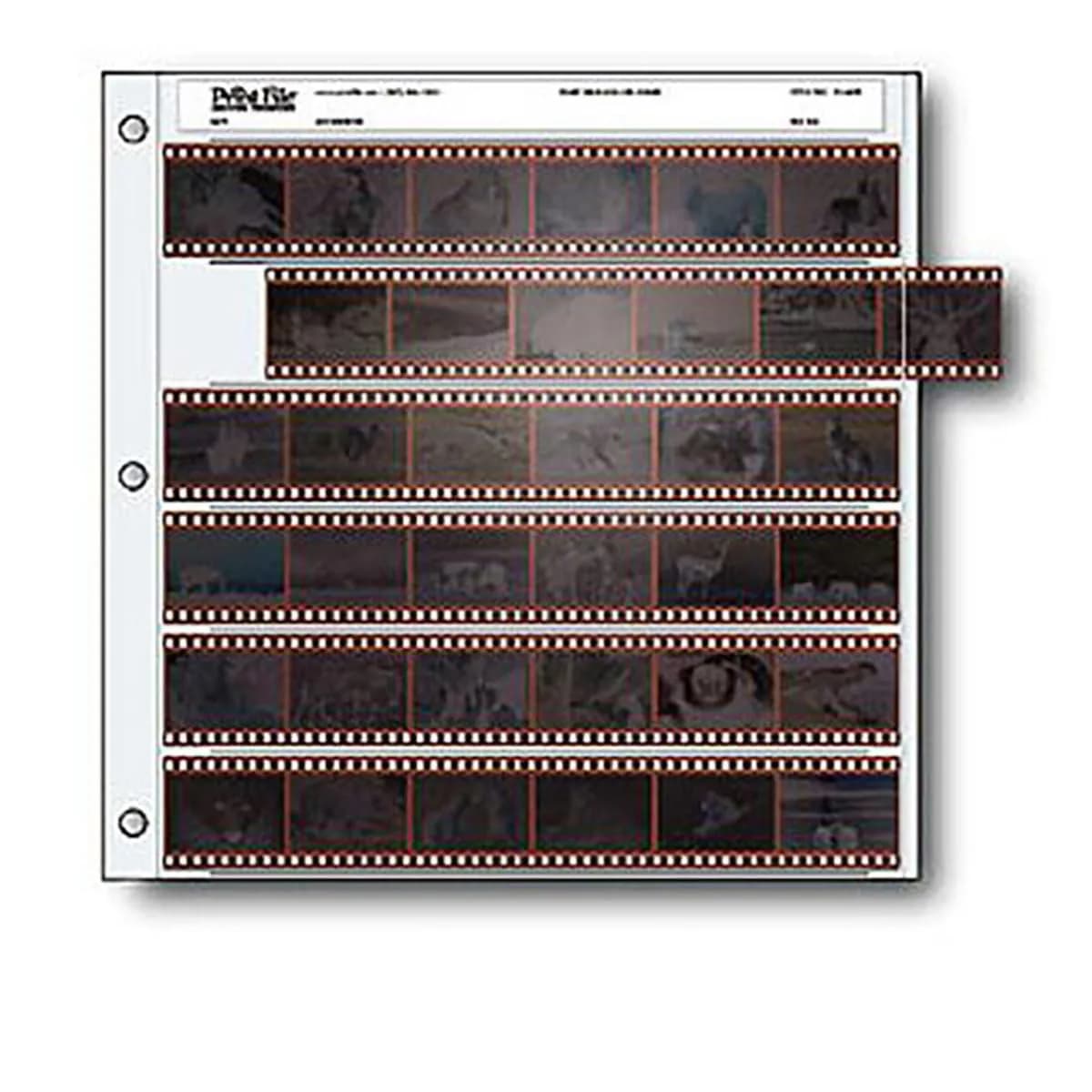 Print File 35mm Negative Pages Pack of 25 | Holds Six Strips of Six Frames, Long-Term Archival - main product image