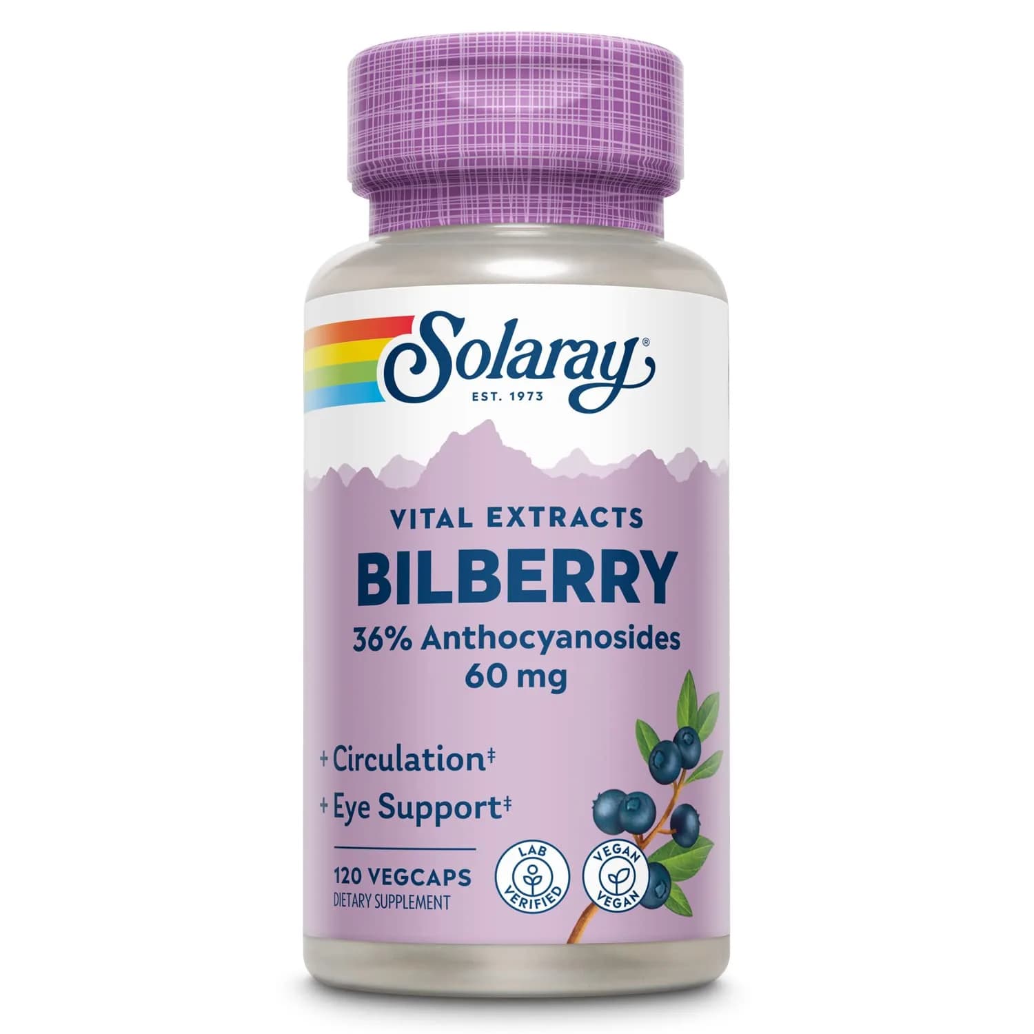 SOLARAY Bilberry Berry Extract 60 mg | Vision & Circulatory Support, Vegan, 120 VegCaps