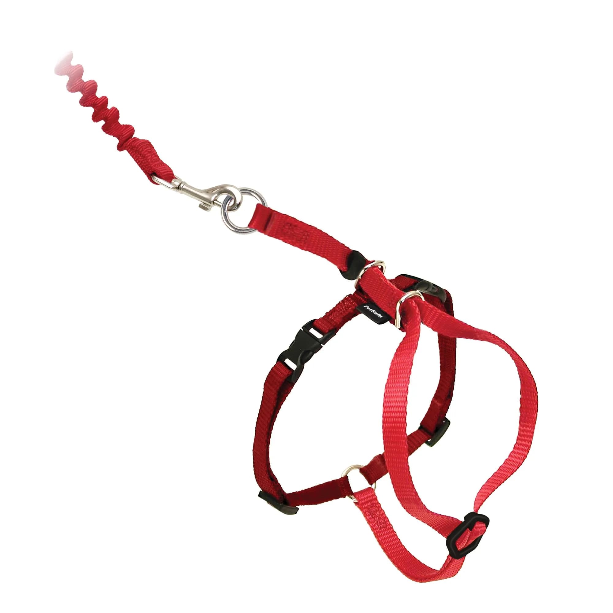 PetSafe Come With Me Kitty Harness and Bungee Leash, Medium, Black/Silver | Safe Outdoor Walks for Cats