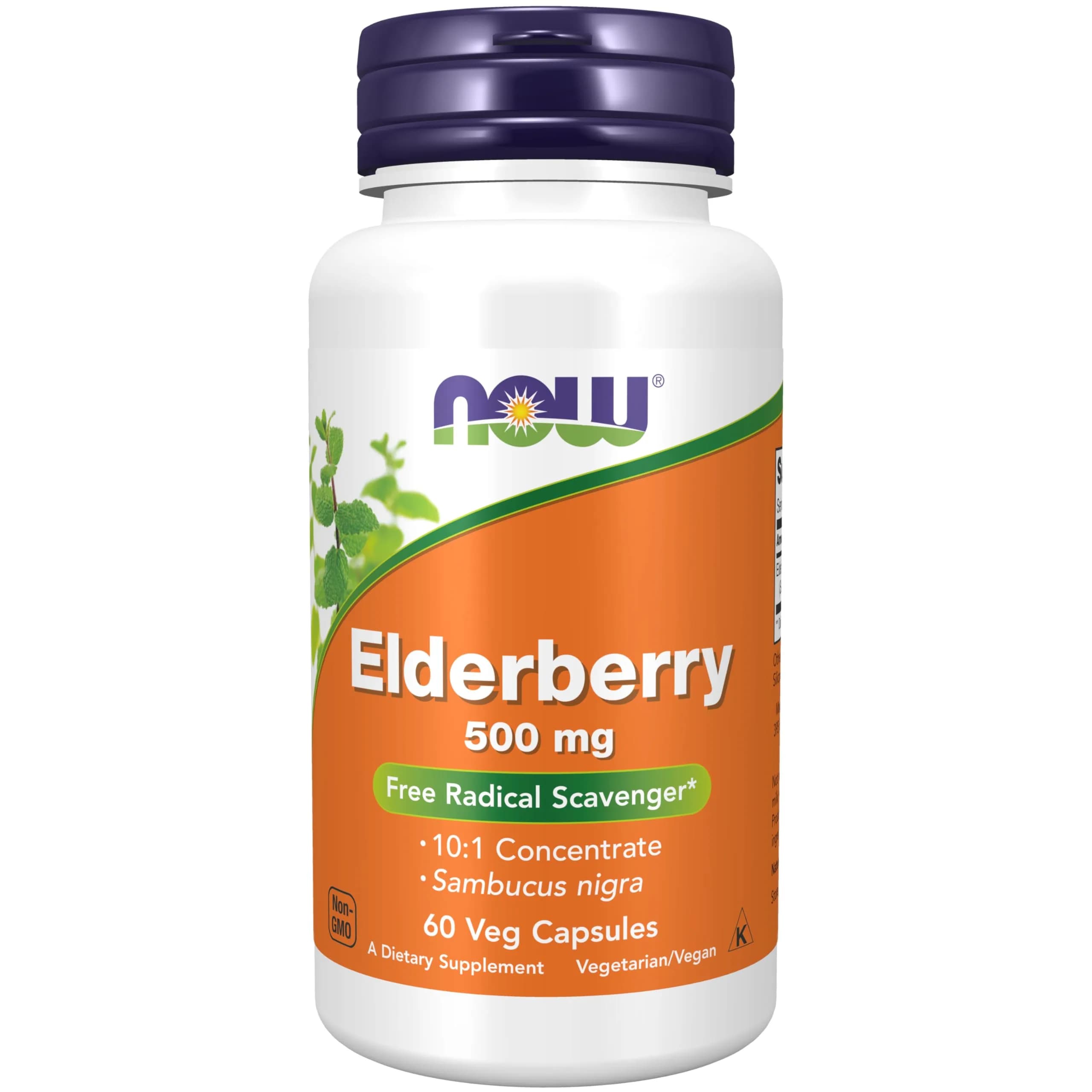 NOW Elderberry 500 mg | Vegetarian Capsules for Immunity & Antioxidants in India