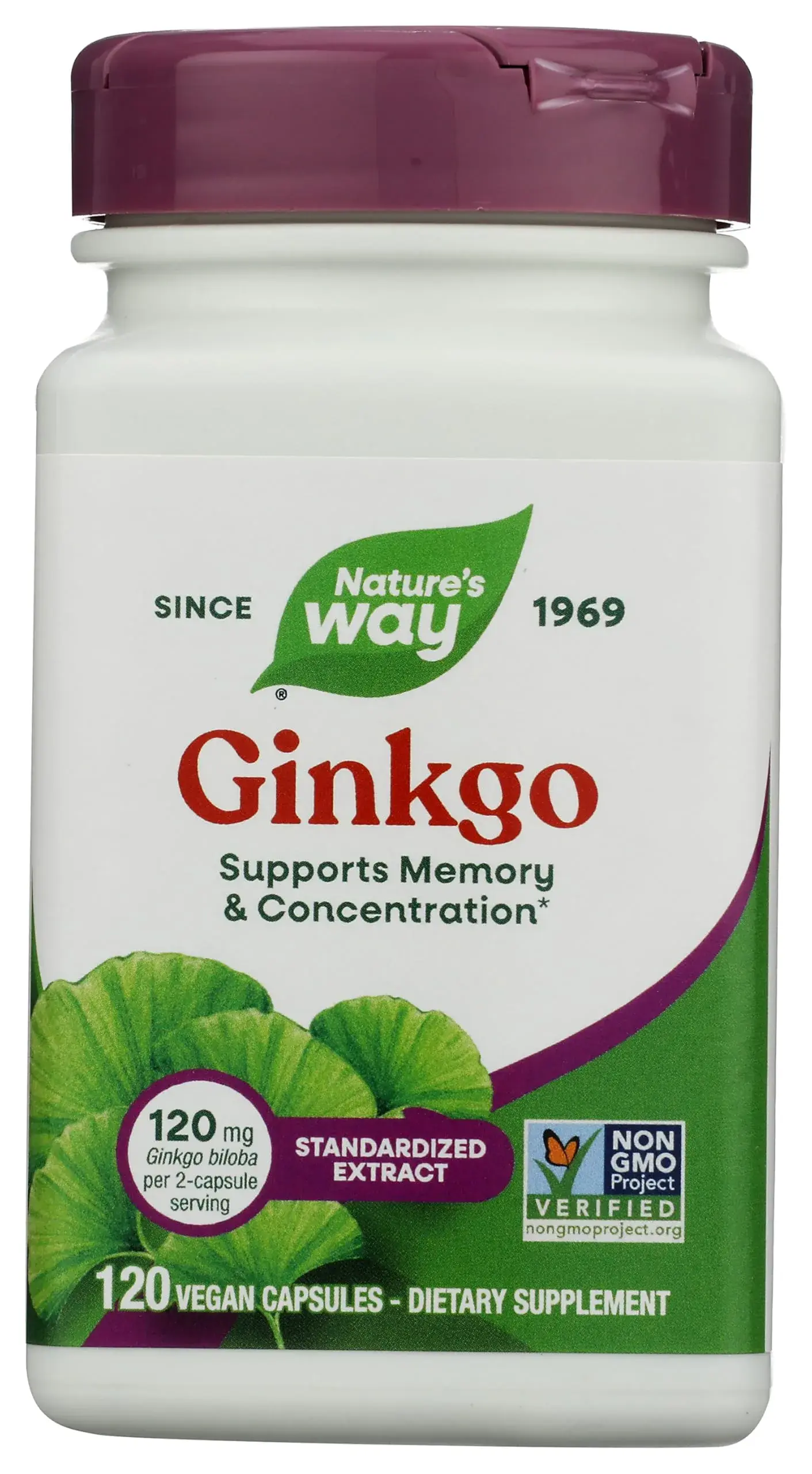 Nature's Way Ginkgo Premium Extract 120 mg | Supports Memory & Concentration*