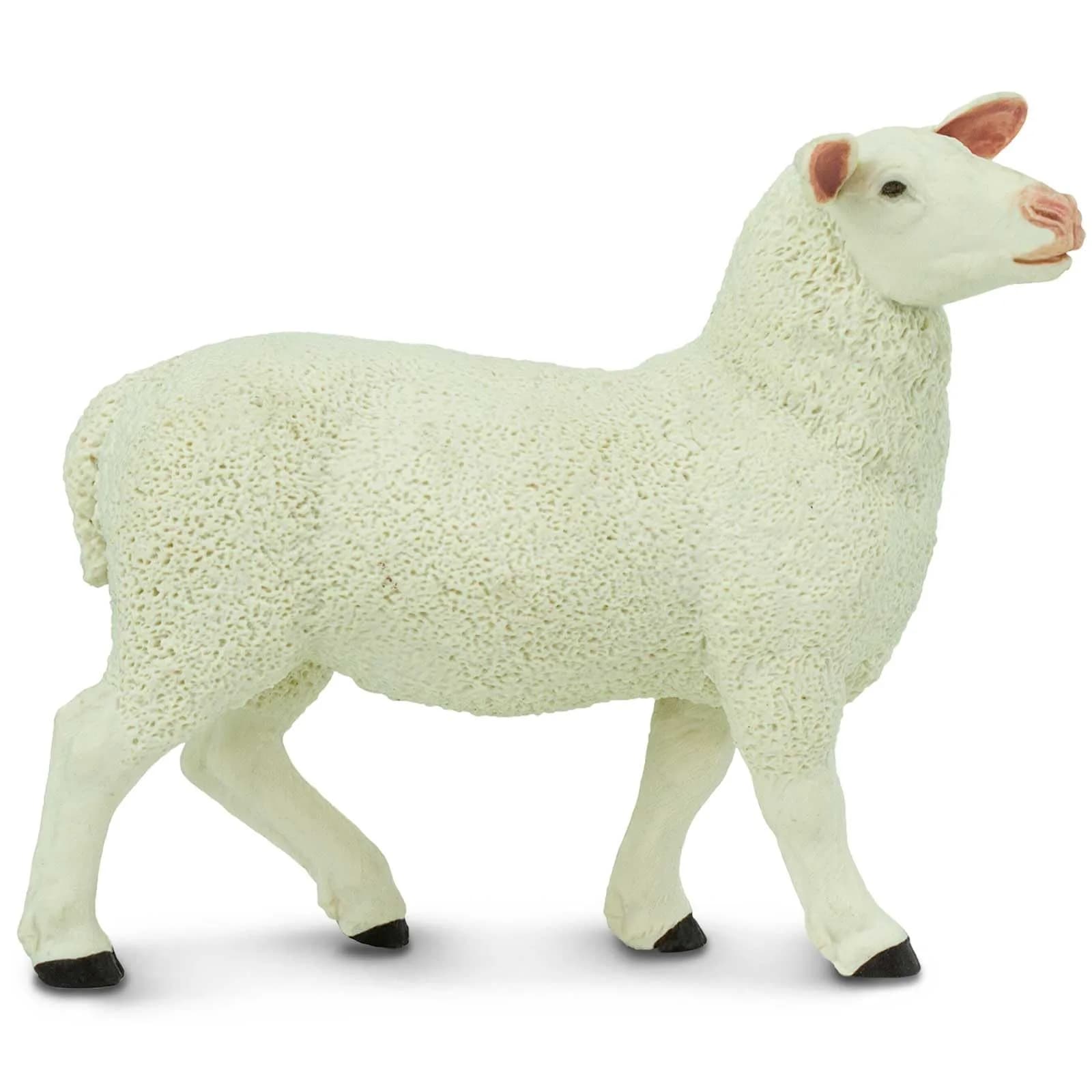 Safari Ltd. Ewe Figurine - Lifelike 3" Model Figure - Educational Toy for Kids 3+ - main product image