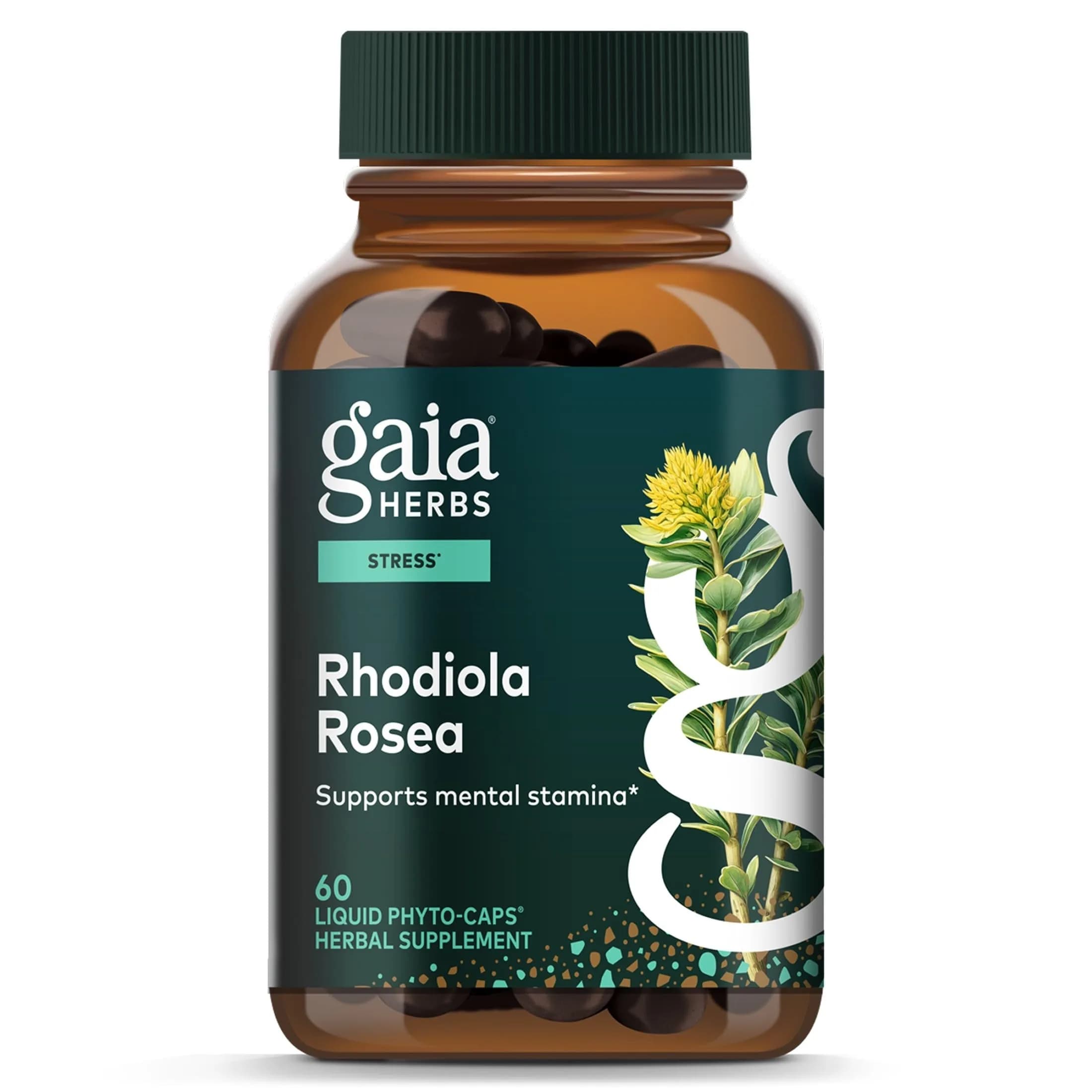 Gaia Herbs Rhodiola Rosea 60 Vegan Capsules | Supports Stress & Endurance
