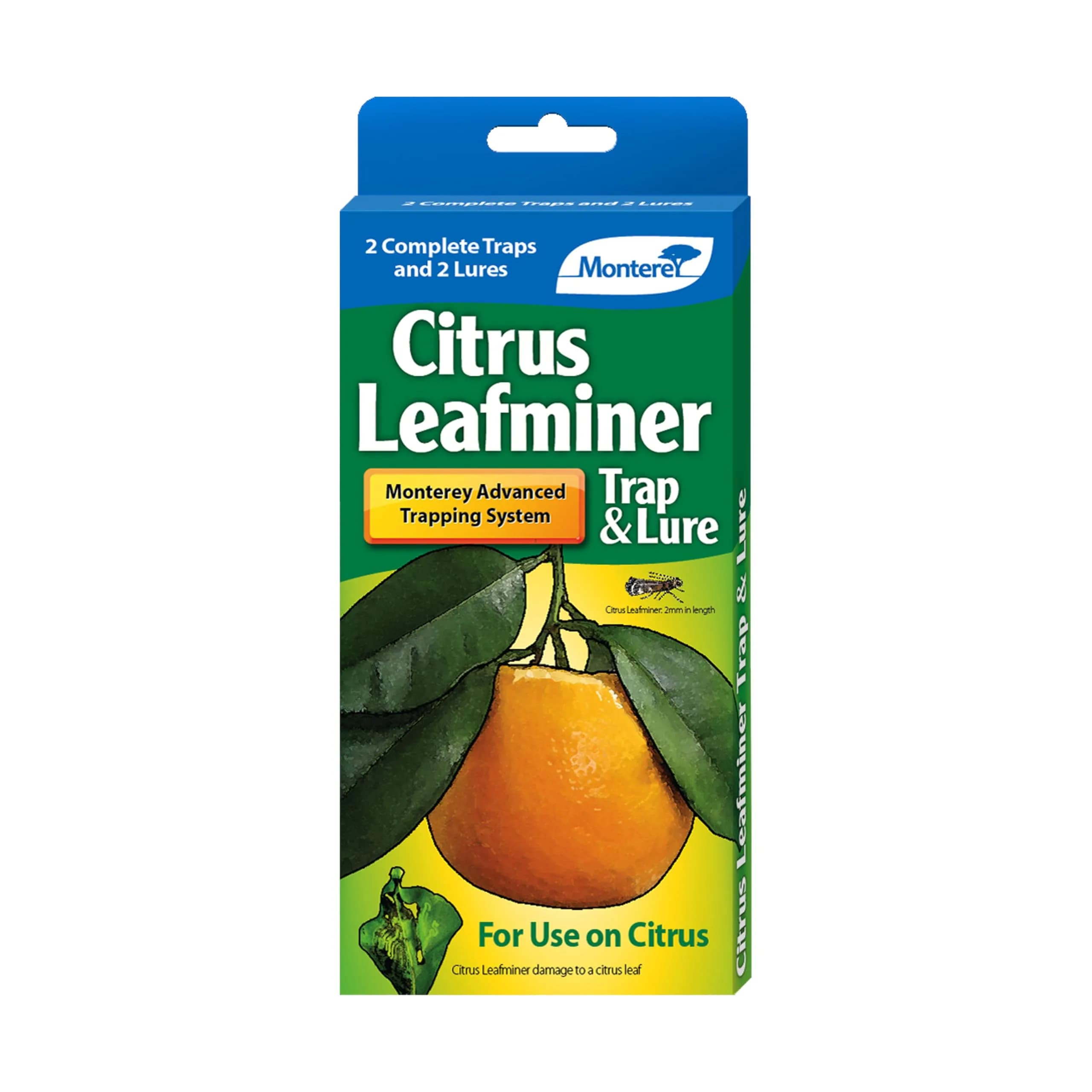 Monterey LG8920 Citrus Leafminer Trap and Lure | Organic Monitoring System for Citrus Trees