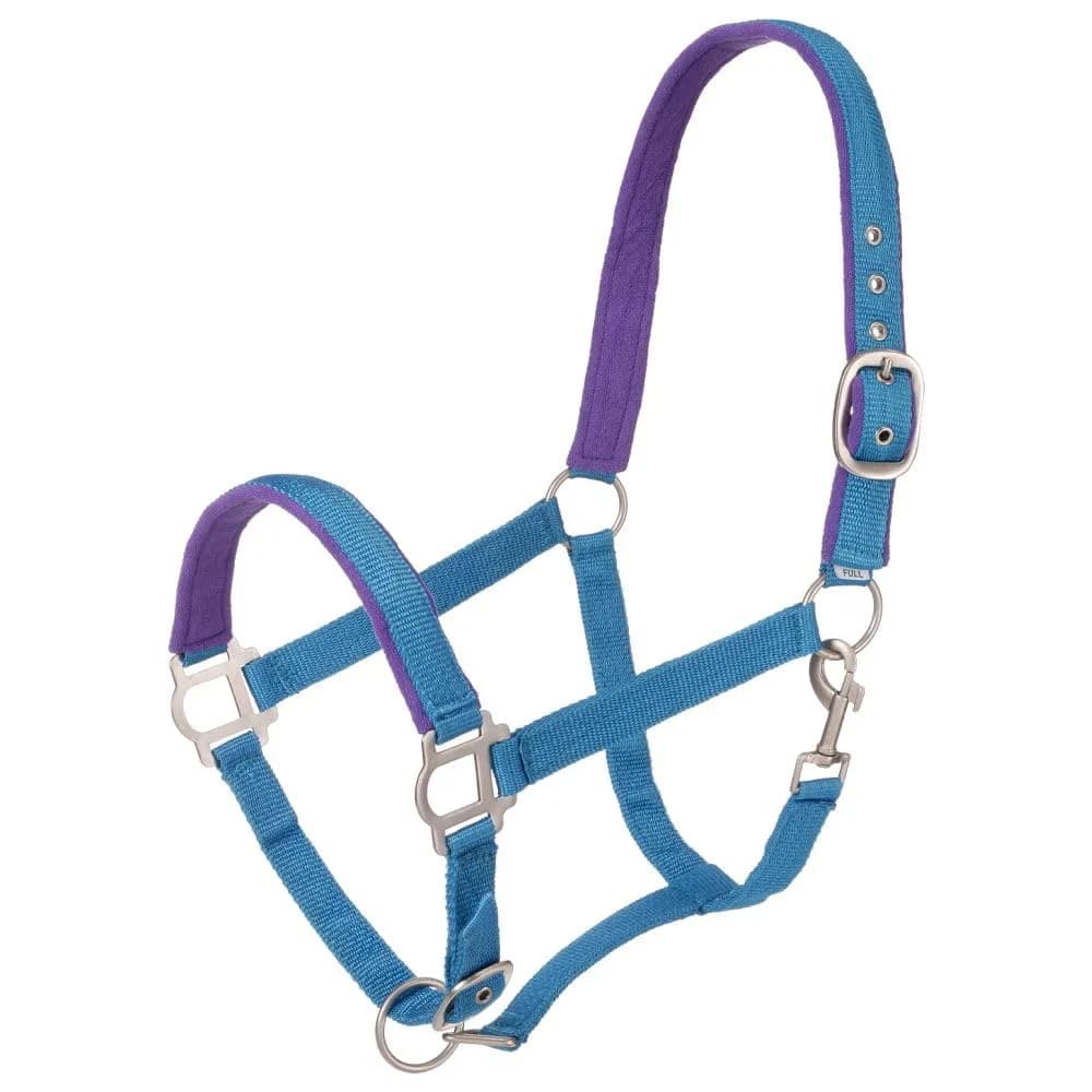 Tough 1 Padded Horse Halter with Satin Hardware - Turquoise | Durable Nylon, Adjustable Fit, Satin Finish - main product image