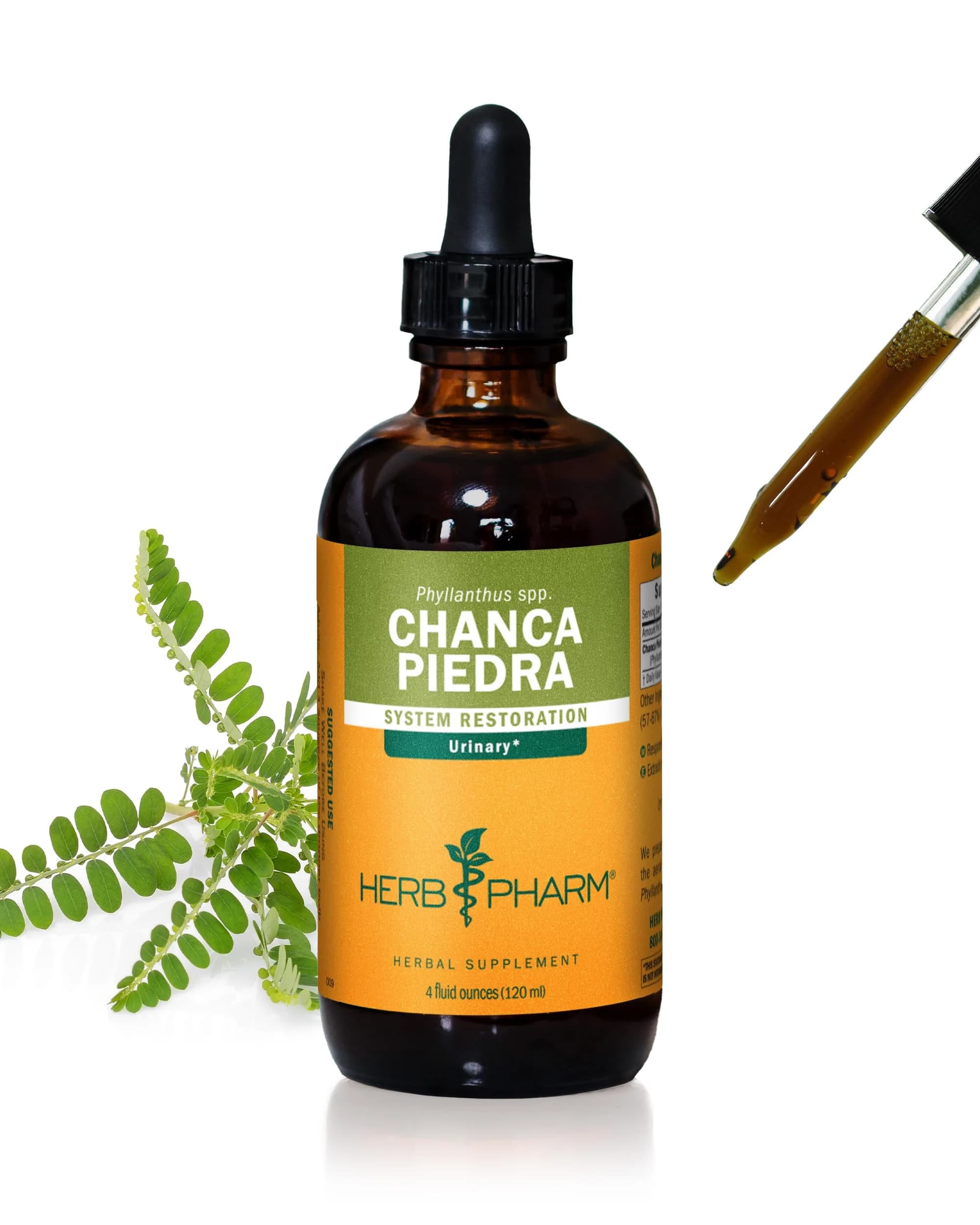 Herb Pharm Chanca Piedra Liquid Extract 118ml (4 Fl Oz) | Supports Urinary System Health - main product image