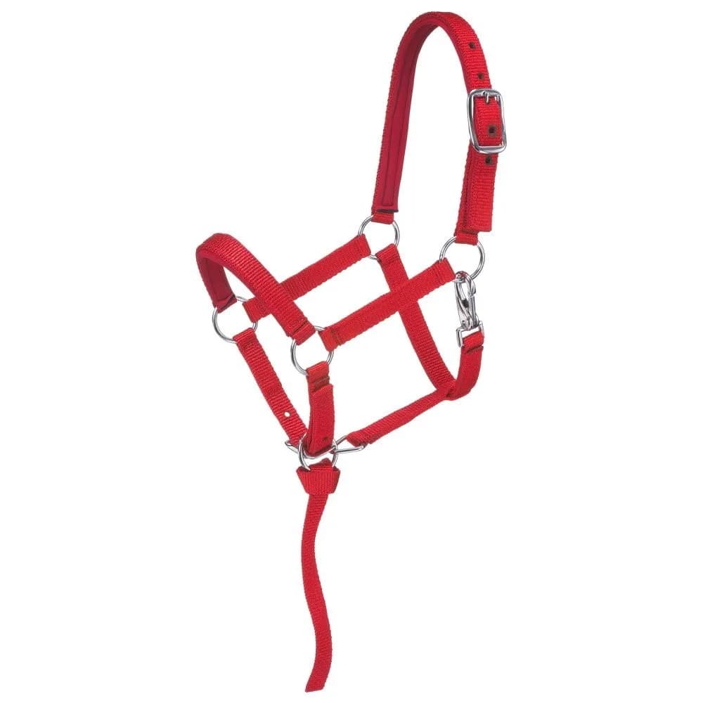 Tough 1 Miniature Nylon Padded Halter - Purple - Large | Durable Nylon, Comfort Fit for Mini Horses