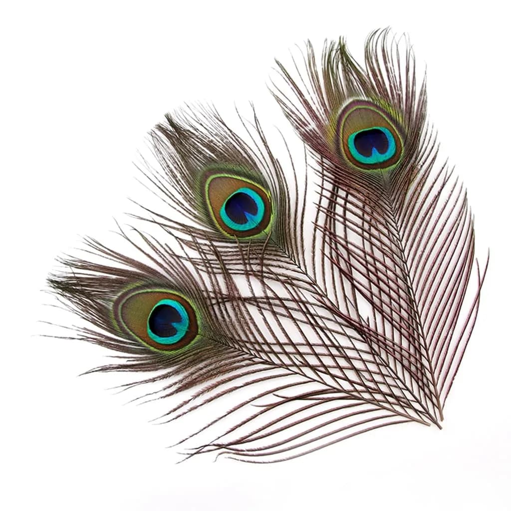 Shekyeon Natural Peacock Feathers 10-12inch | Wedding & Party Decor (110 chars) - main product image