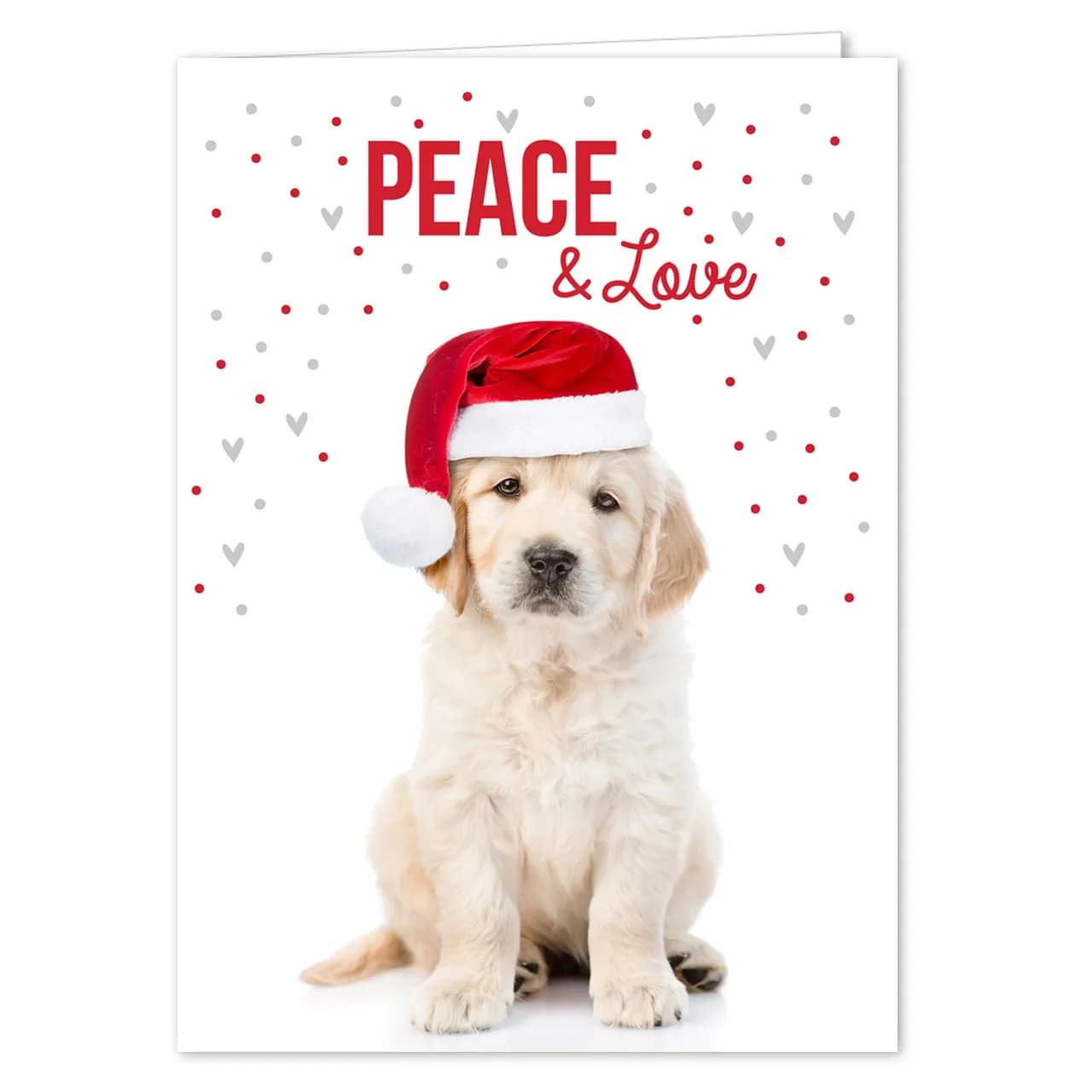 Canopy Street Labrador Love Holiday Card Pack / 25 Cards & Envelopes | Festive Puppy Design, Dog Christmas & New Year Cards - main product image