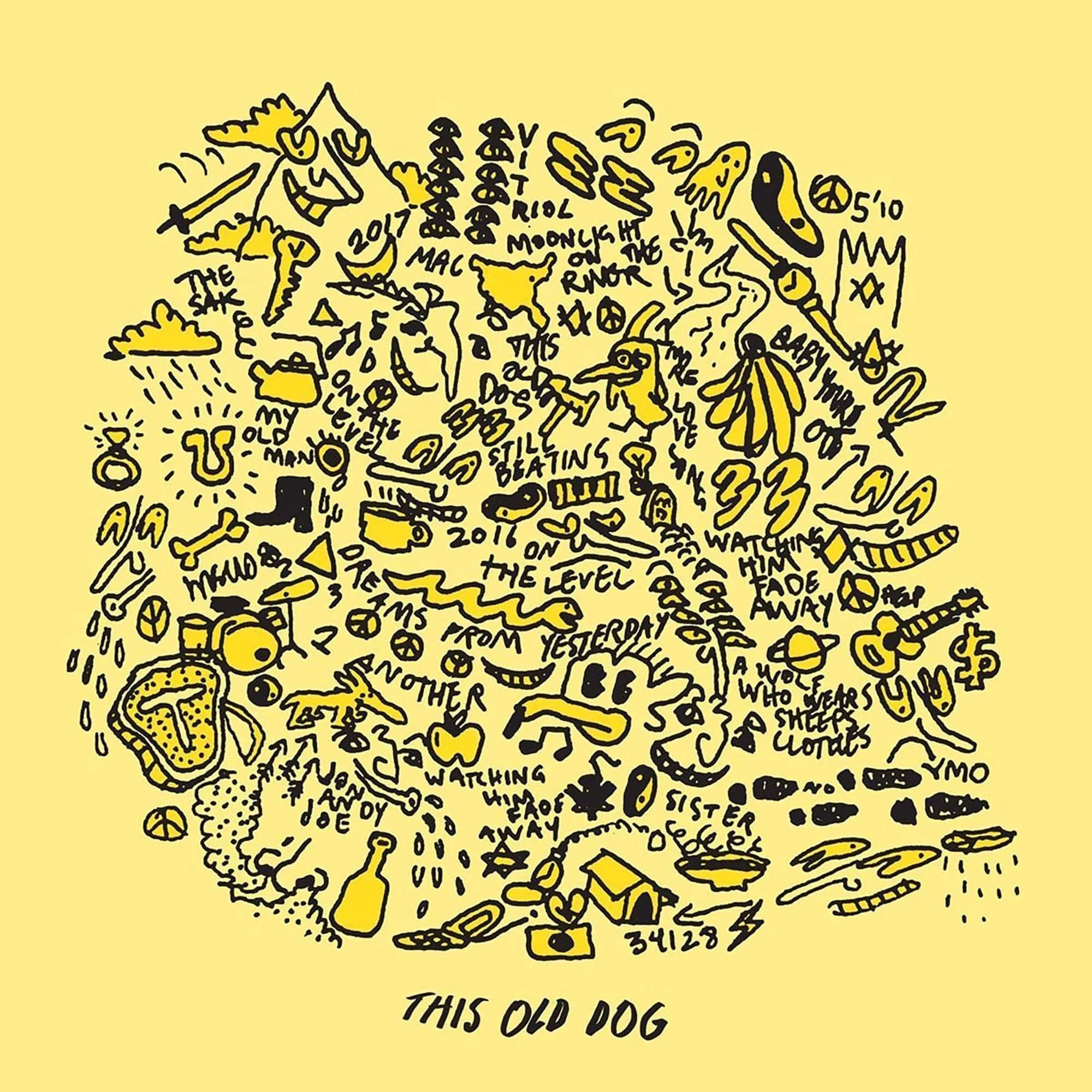 Zach Top This Old Dog Vinyl LP | Mac DeMarco Rock Album 12.28in x 12.24in - main product image
