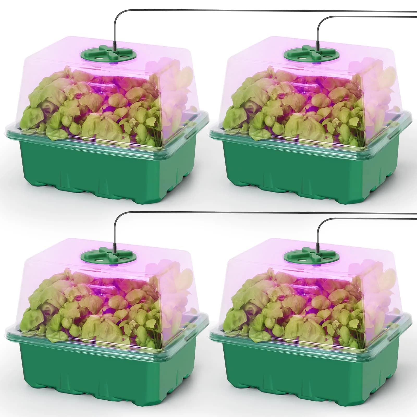MIXC 4 Pack Seed Starter Kit with Grow Light, Vented Humidity Dome, Green | Full Spectrum LED for Indoor Gardening - main product image