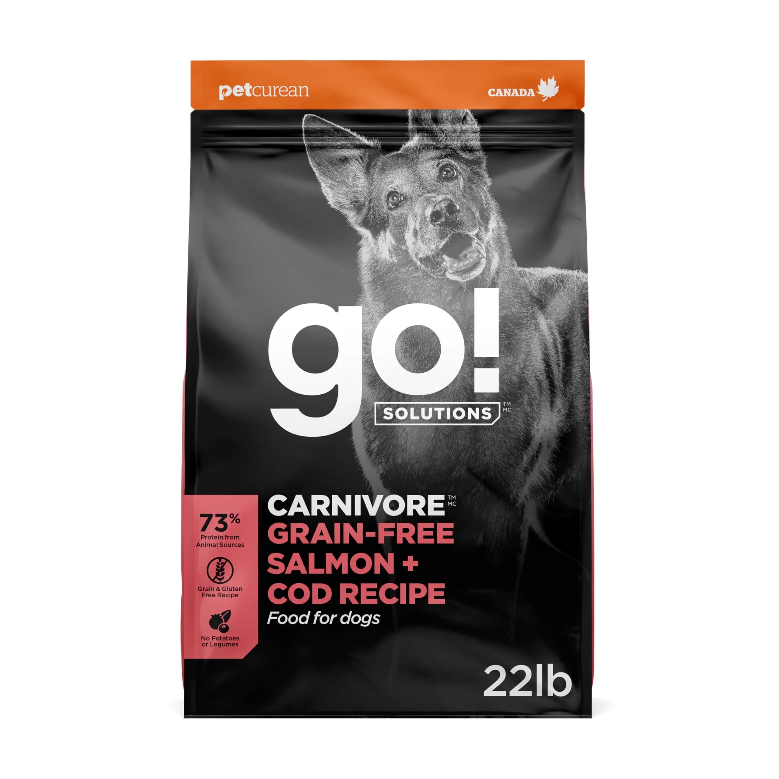 Go! Solutions Carnivore Salmon + Cod Grain-Free Dog Food 22 lb | High-Protein, Real Meat & Fish, Puppy to Senior