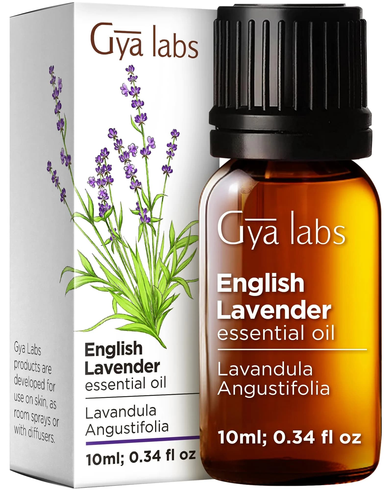 Gya Labs 100% Pure English Lavender Essential Oil, 0.34 Fl Oz (10ml) | Calming Scent for Diffuser & Skin Care - main product image