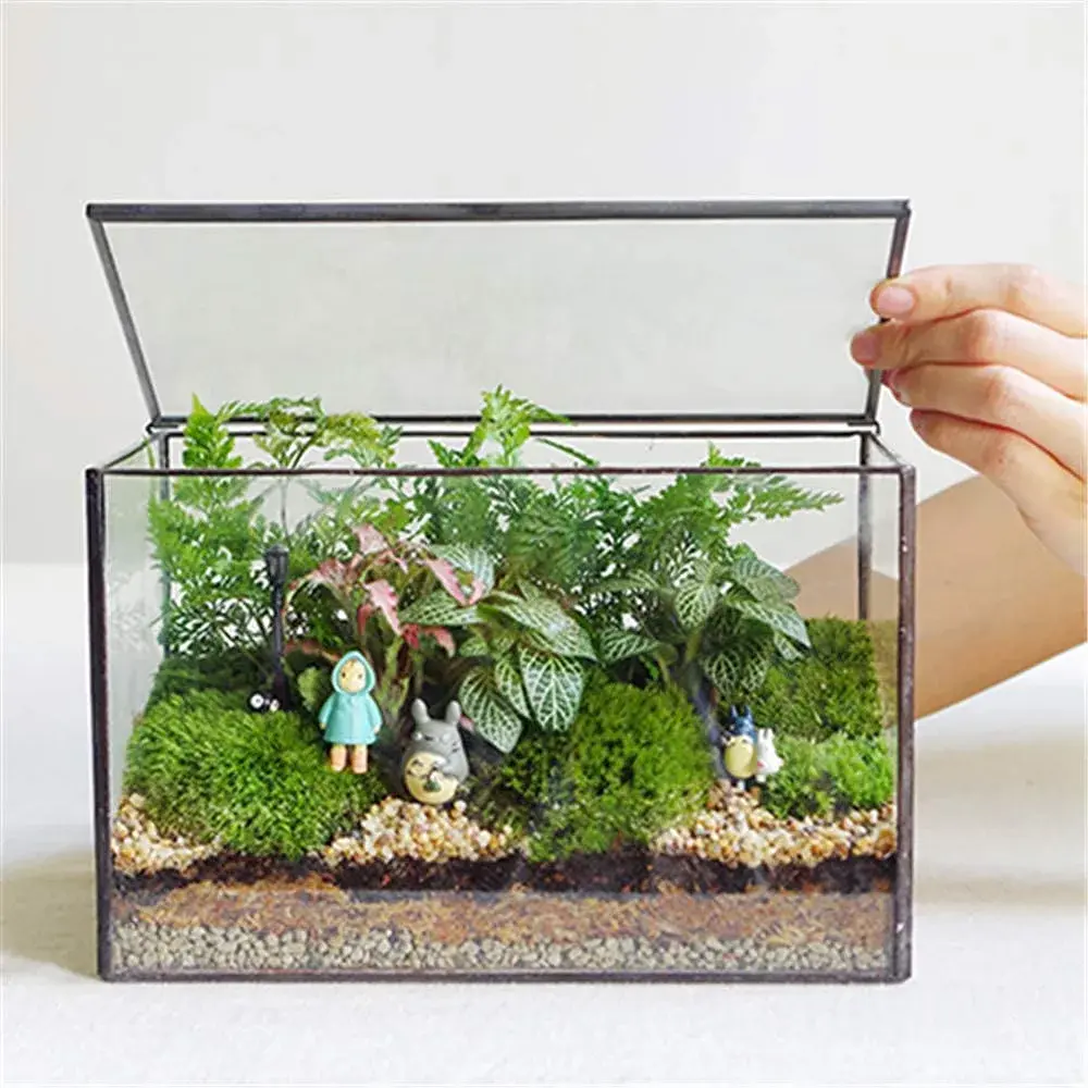 libproqia Rectangular Glass Plant Terrarium with Lid 21cm x 12cm x 14cm | Modern Black Frame for Indoor Plants - main product image