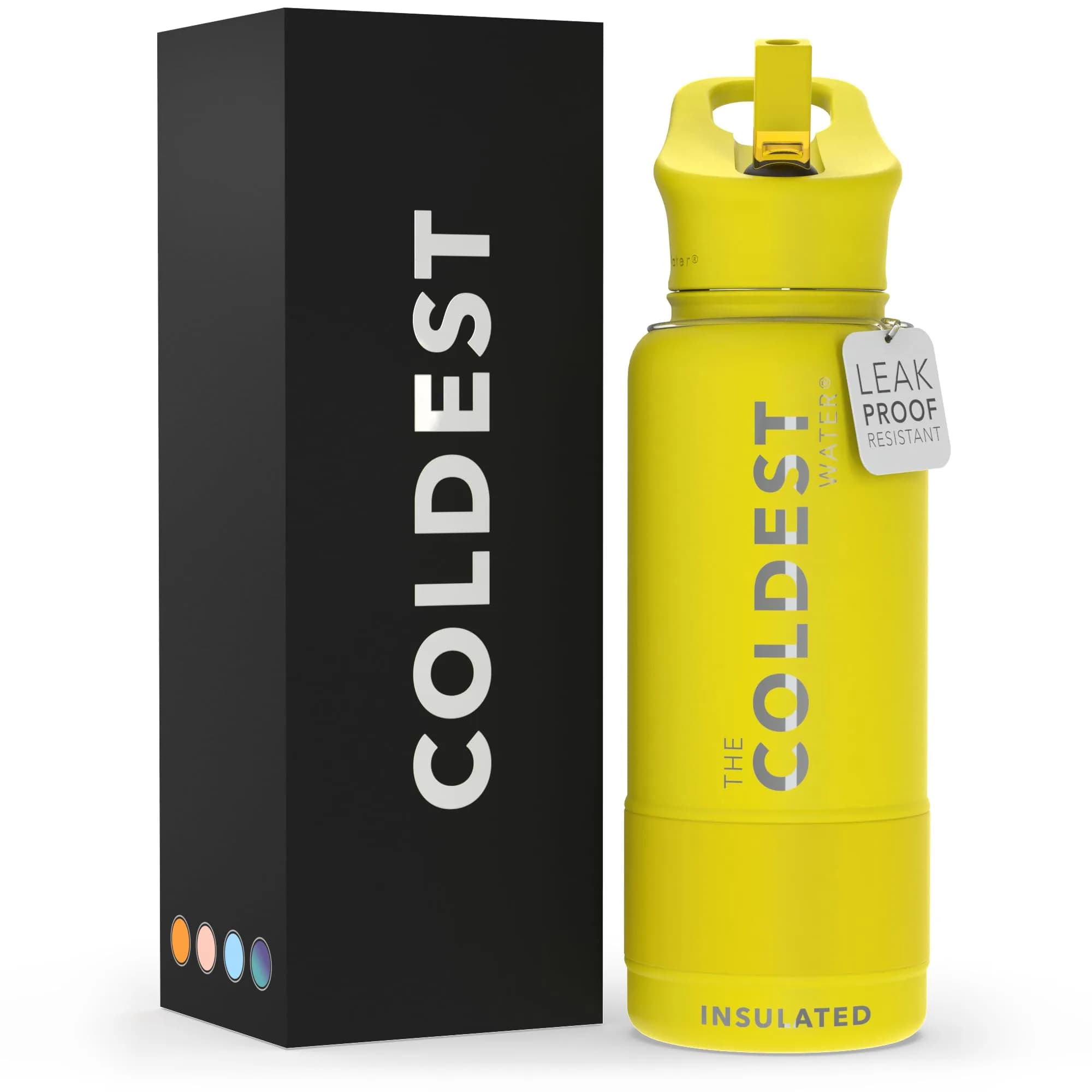 The Coldest Water Insulated Water Bottle with Straw Lid 890ml (30 oz) | Keeps Drinks Cold 36 Hrs, Hot 13 Hrs