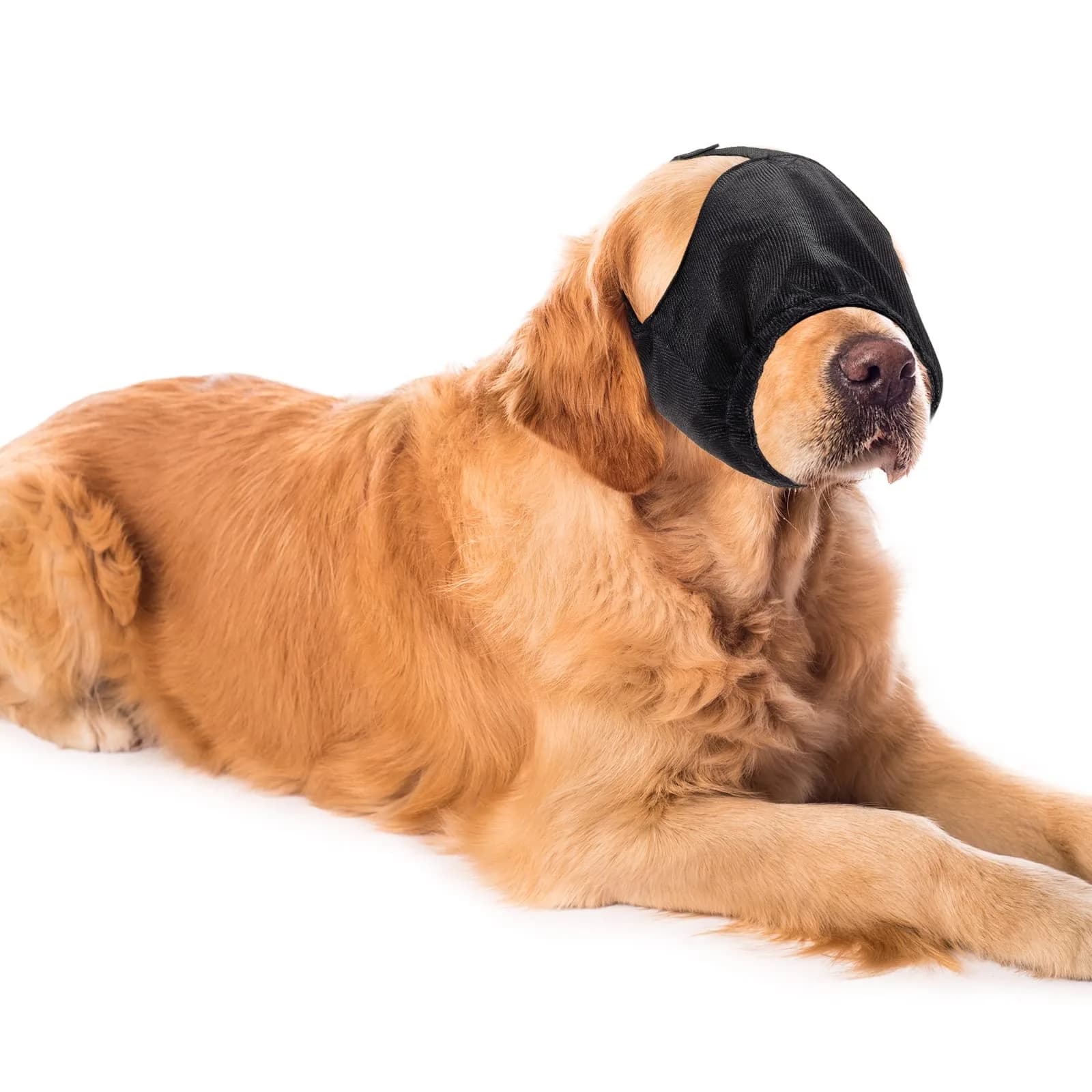 Xuniea Dog Calming Cap Blindfold Shading for Anxiety Relief, X-Large