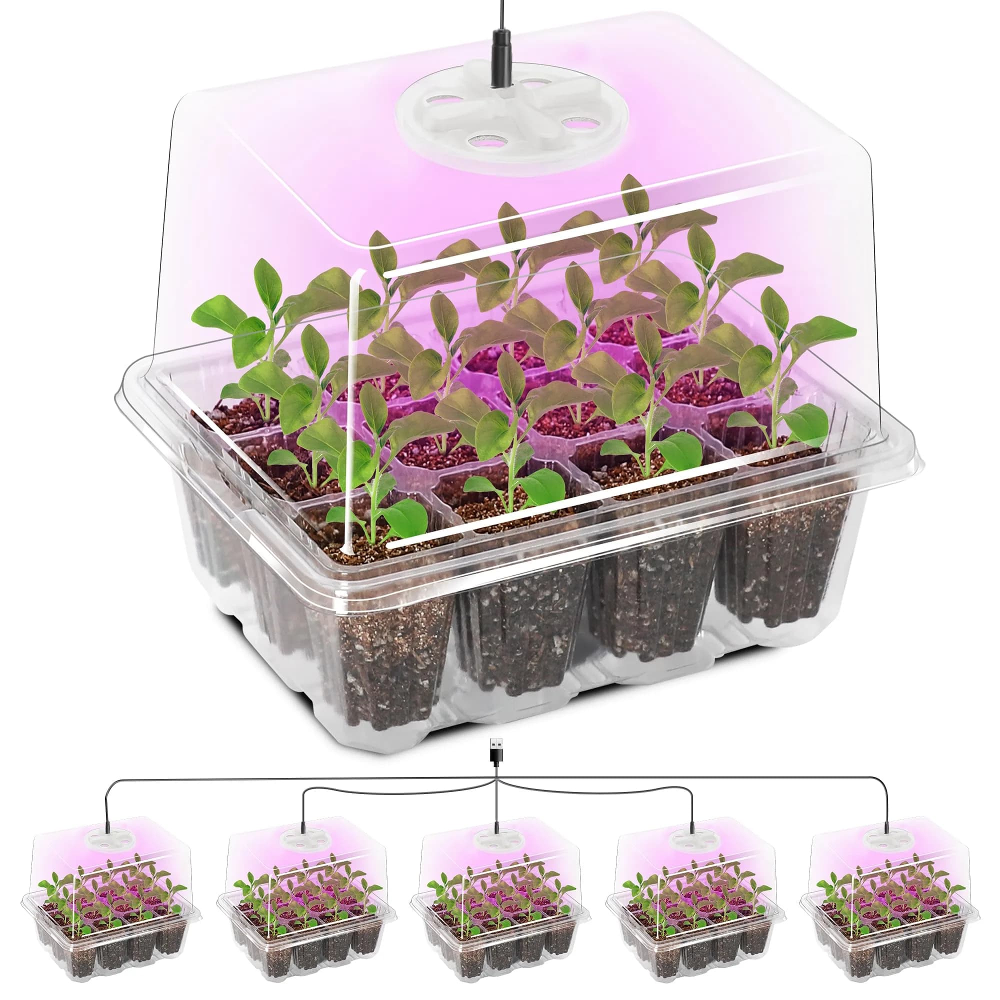 Bonviee Seed Starter Trays with 12-LED Grow Lights, Clear, 5 Pack | Indoor Germination Kit with Root Observation - main product image