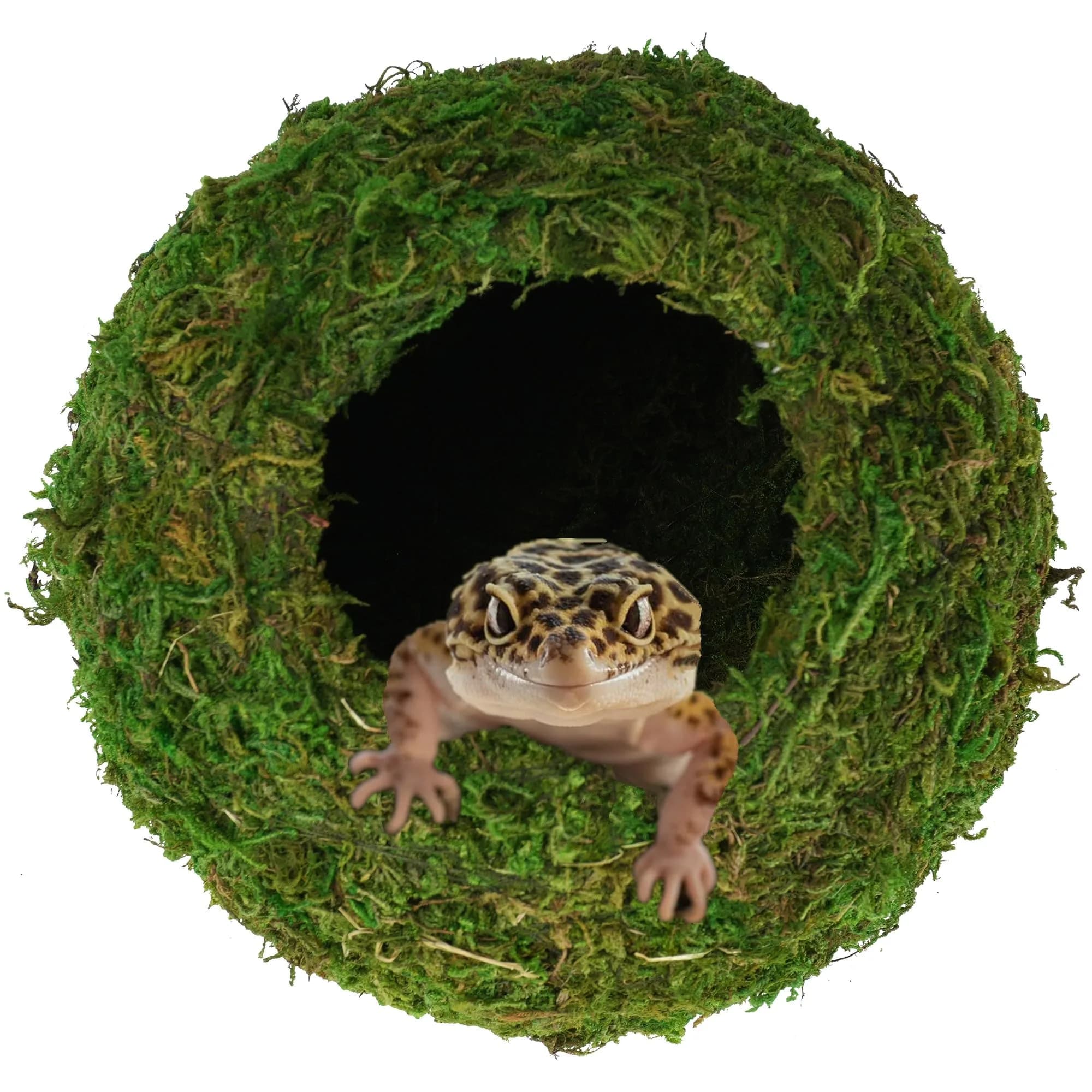 USMOLA Mossy Caves, Artificial Green Moss Hide for Reptiles & Amphibians | Durable Terrarium Decor (4" - Woodland Green) - main product image