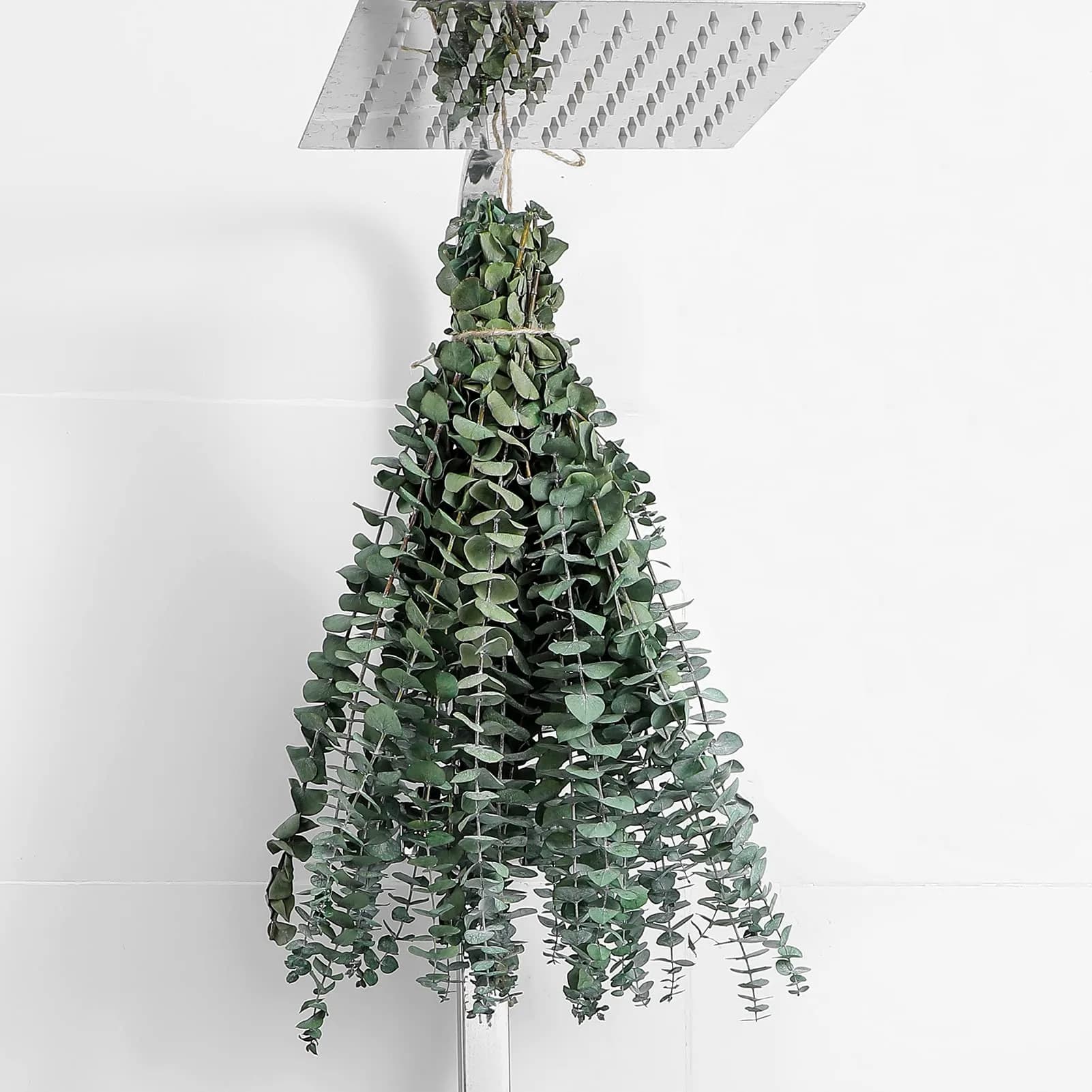 FAVOWREATH 12 Pcs Real Eucalyptus Stems 17" | Natural Dried Eucalyptus for Shower Hanging & Home Decor