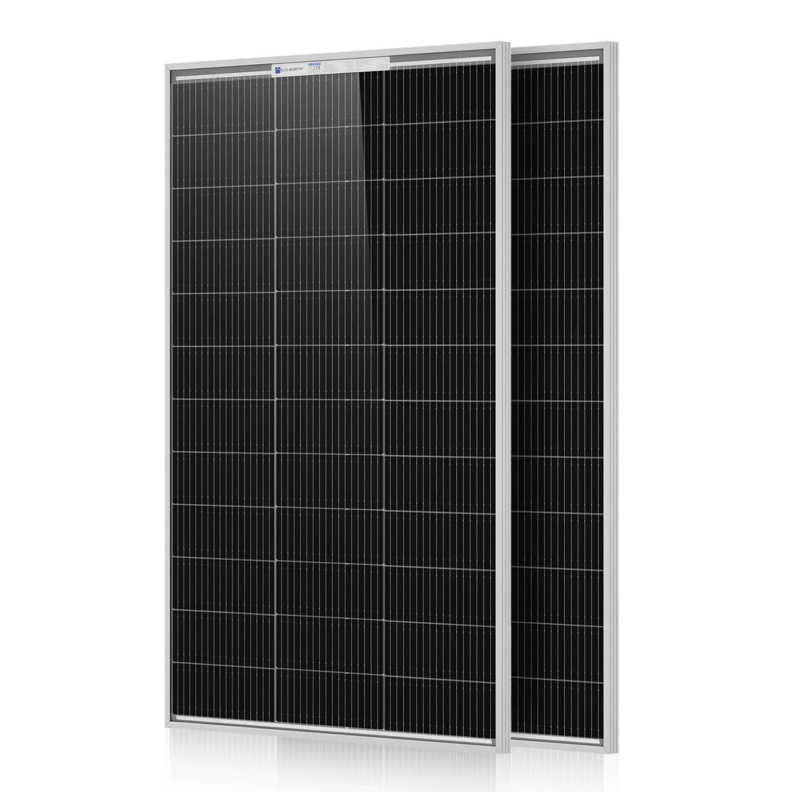 ECO-WORTHY 200 Watt Bifacial Solar Panel 2pcs 100W | High Efficiency, Off Grid PV Power for Home & RV