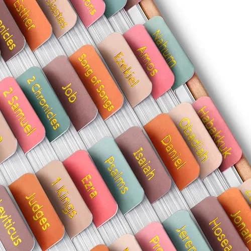 Mr. Pen Bible Tabs Spring Palette with Gold Lettering, 75 Tabs for Study Bible Indexing | Organize Your Bible with Ease - main product image