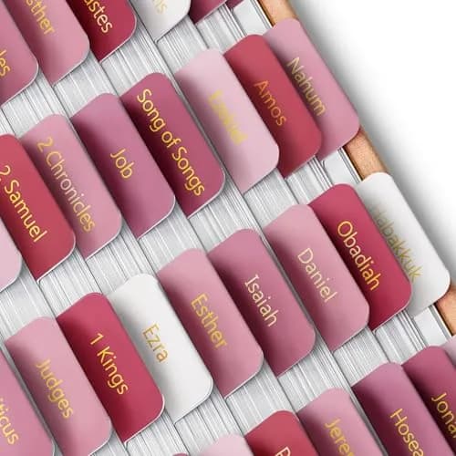Mr. Pen Pink Plum Orchard Bible Tabs (75 Tabs) | Gold Foil Embossed Lettering for Organized Study - main product image