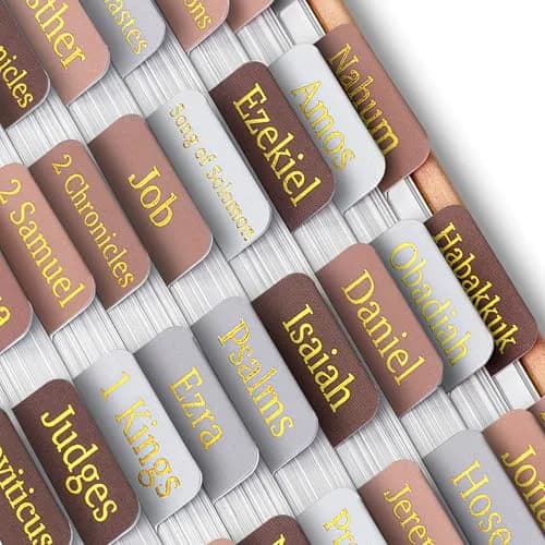Mr. Pen Bible Tabs, 75 pcs, Warm Mocha, Gold Foil Embossed Lettering, Laminated Bible Tabs for Women and Men | Best Bible Indexing Tabs for Indian Students - main product image