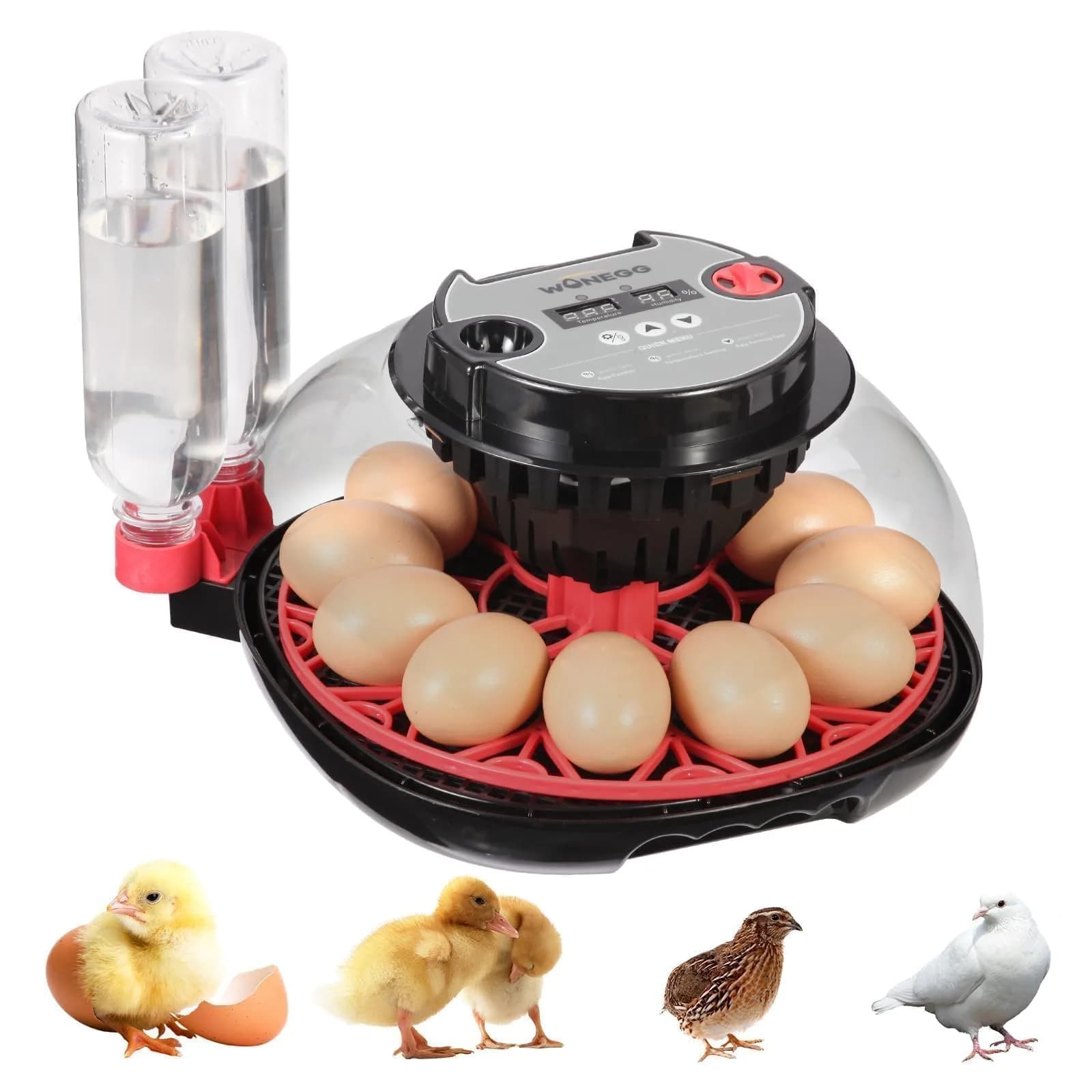 ZEMIRO CHARGE Series II Incubator 12 Egg | Auto Humidity & Temp Control, Beginner Friendly - main product image