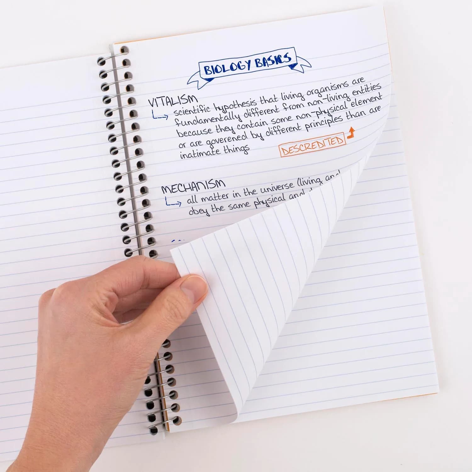Five Star Spiral Notebook 2 Subject College Ruled 80 Sheets Tidewater Blue (Pack of 12) | Lasts All Year Guaranteed - main product image