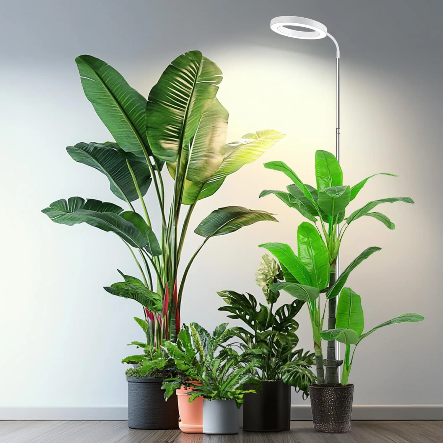 Garpsen Full Spectrum LED Grow Light 80 LEDs 65'' Height | 3 Color Modes 5 Dimmable Levels 16H Timer - main product image