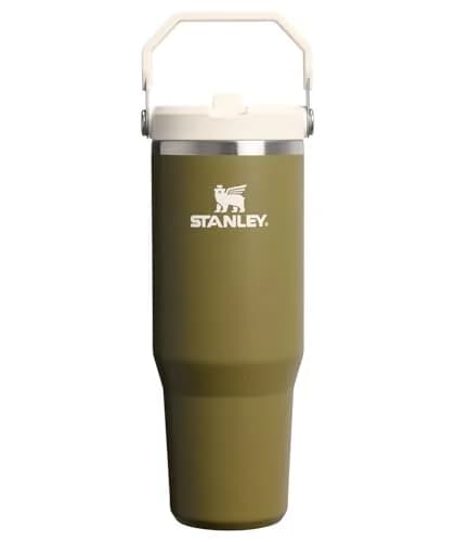 STANLEY IceFlow 2.0 Flip Straw Tumbler, 20 oz (590 ml) | Sip Faster, Spill Less