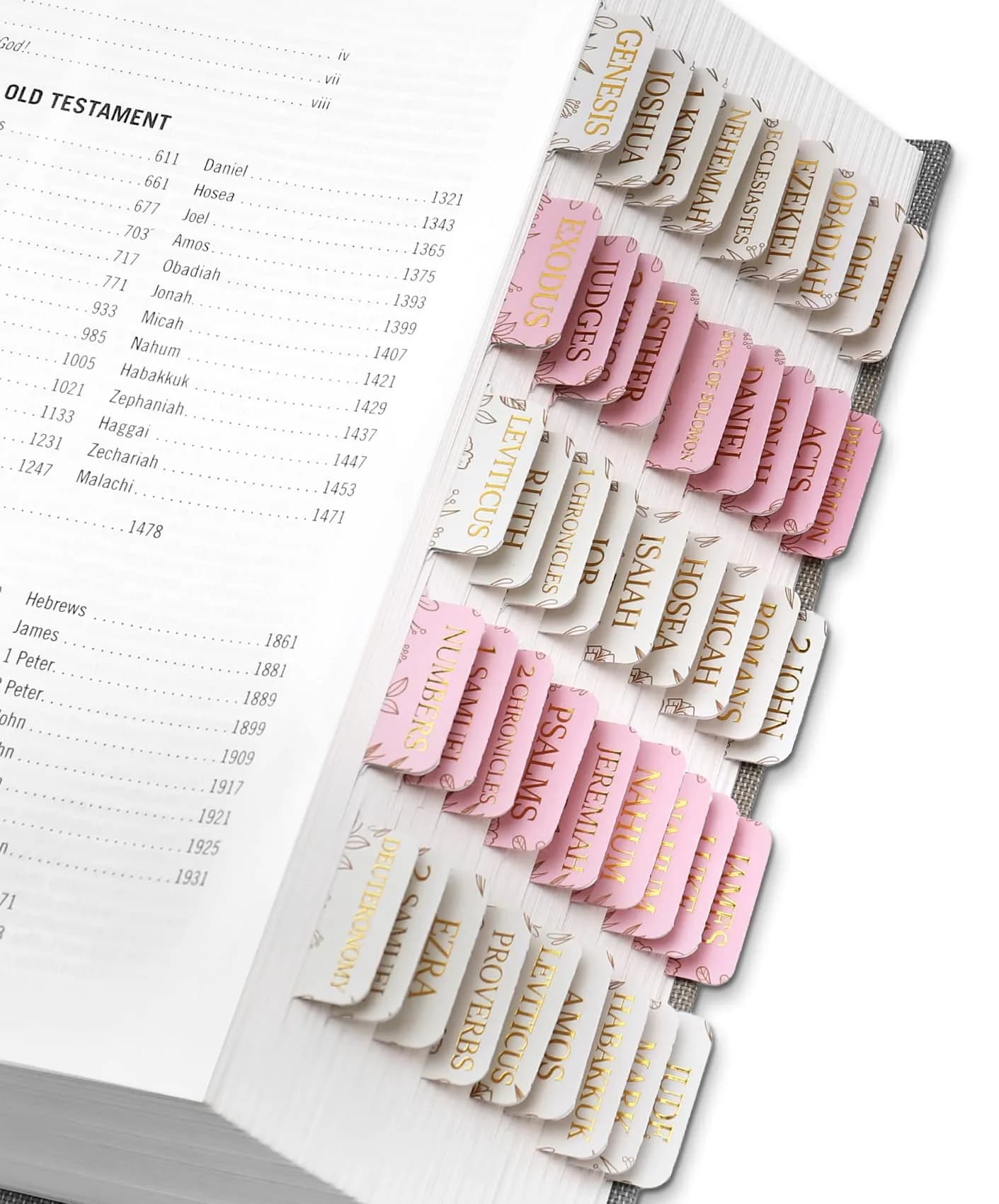 Taja Sketch Floral Bible Tabs (66+9 Blank) | Laminated for Easy Navigation - main product image