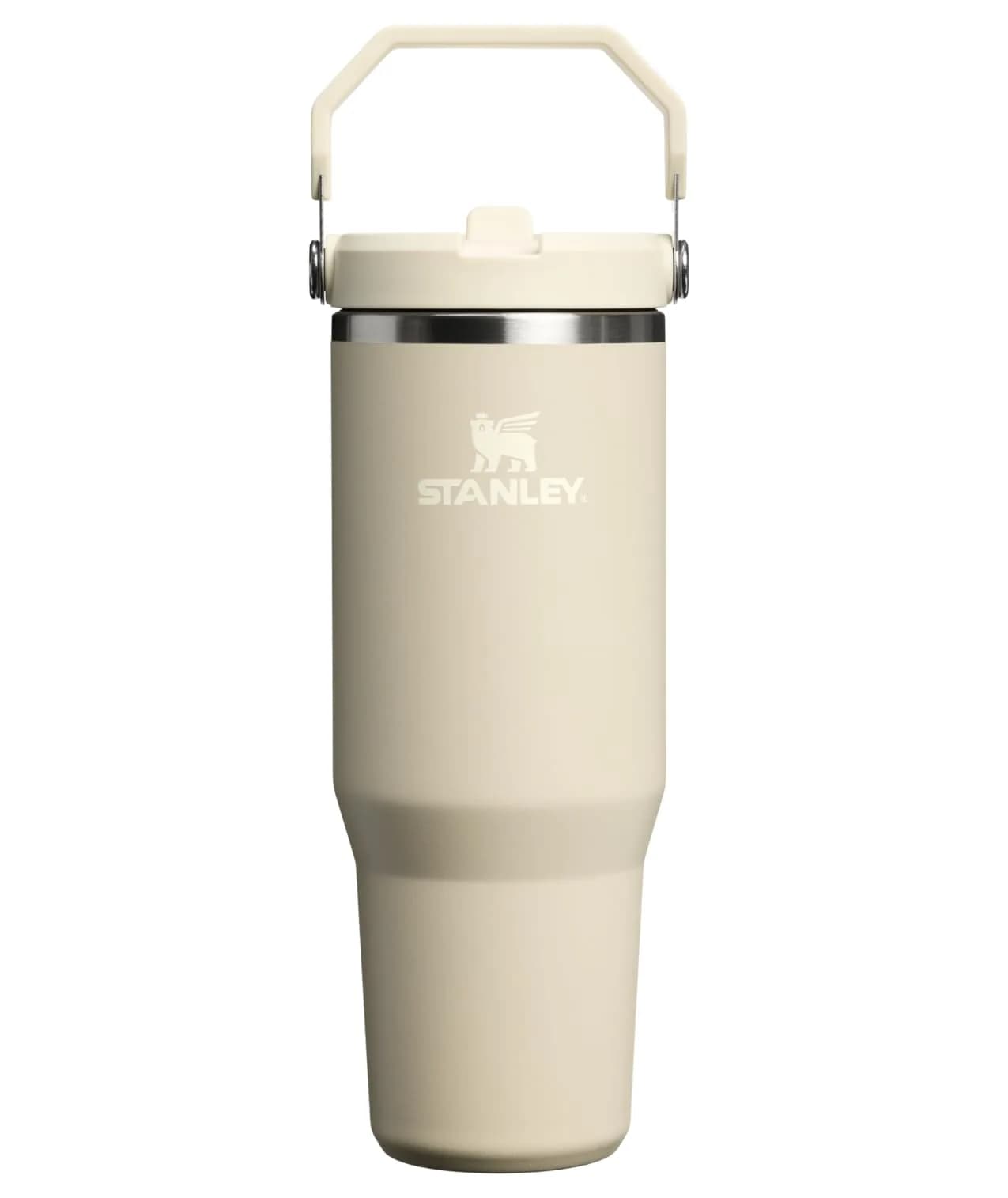 STANLEY IceFlow 2.0 Flip Straw Tumbler, 20 oz (590 ml) | Sip Faster, Spill Less