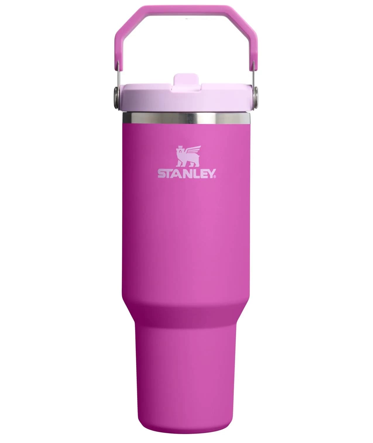 STANLEY IceFlow 2.0 Flip Straw Tumbler, 20 oz (590 ml) | Sip Faster, Spill Less