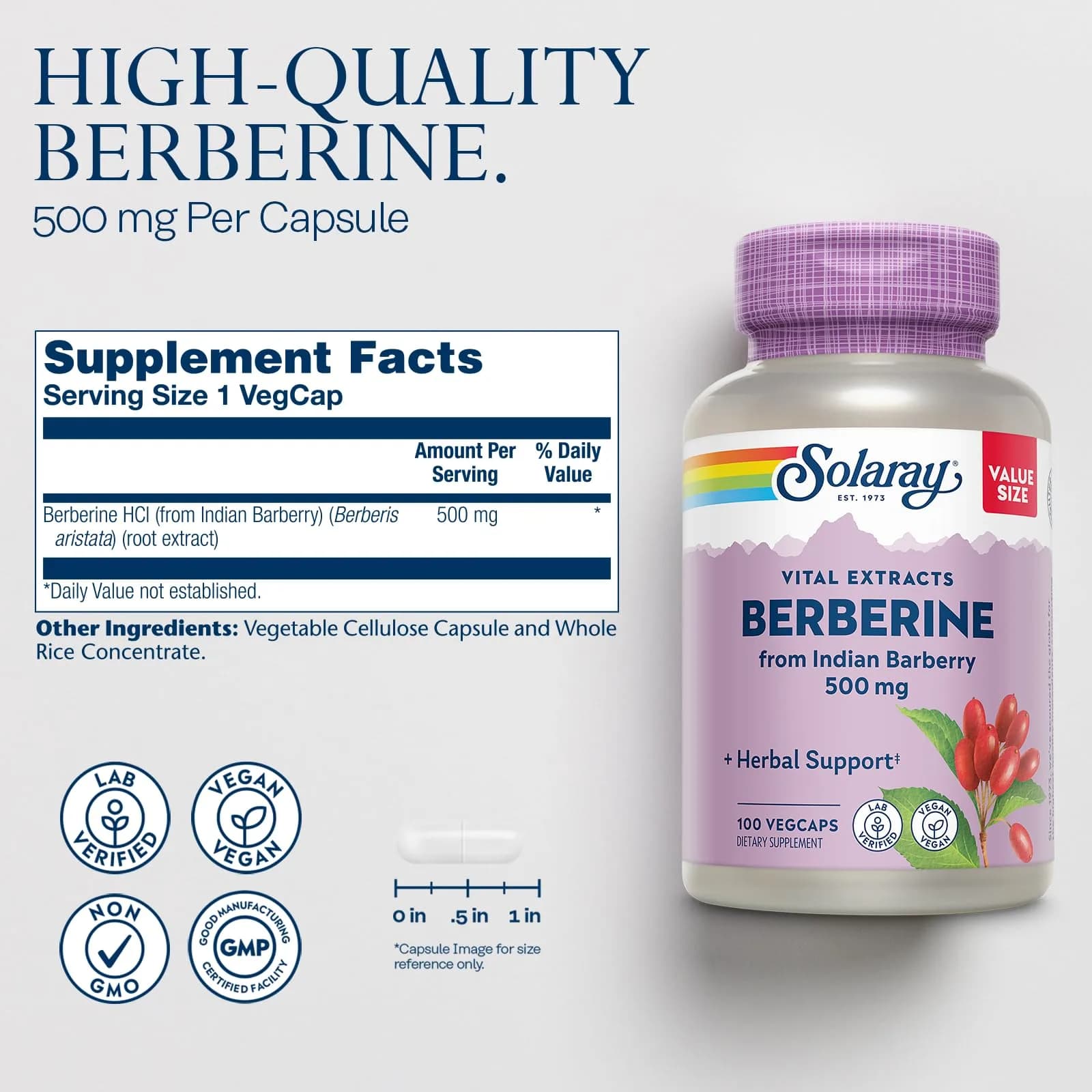 SOLARAY Berberine Extract 500 mg | Vegan, Herbal Support for Active Lifestyle