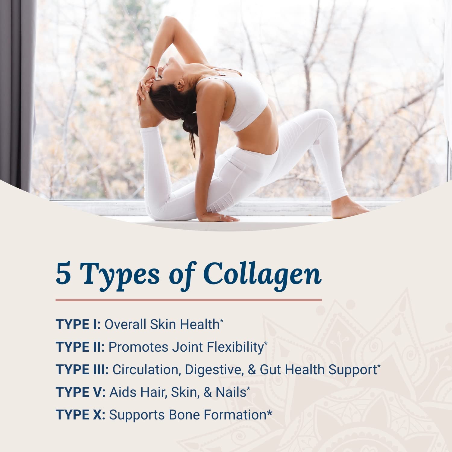 Live Conscious Beyond Collagen Multi Collagen Powder 2-Pack | 5 Types for Skin & Joints with Biotin - Image 2