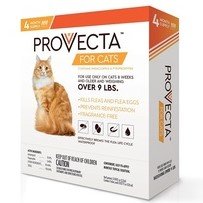 Buy Provecta Advanced for Cats Over 9 Lbs. (4 dose), Orange in India