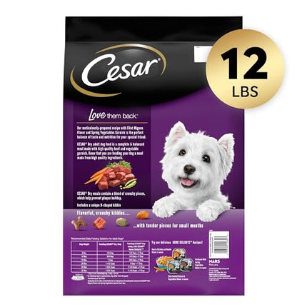 Buy CESAR Small Breed Adult Dry Dog Food Filet Mignon Flavor with Spring Vegetables Garnish Dog Kibble, 12 lb. Bag in India India