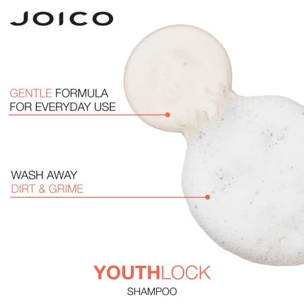 Joico YouthLock Shampoo Formulated With Collagen | Youthful Body & Bounce | Reduce Breakage & Frizz | Soften & Detangle Hair | Boost Shine | Sulfate Free | With Arginine | 10.1 Fl Oz