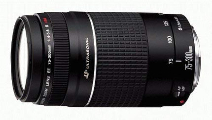 buy Canon EF 75-300mm f/4-5.6 III Telephoto Zoom Lens for Canon SLR Cameras in India