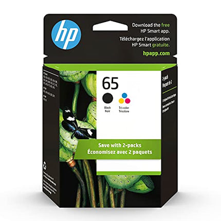 Buy HP 65 Black/Tri-color Ink Cartridges (2-pack) | Works with HP AMP 100 Series, HP DeskJet 2600 in India