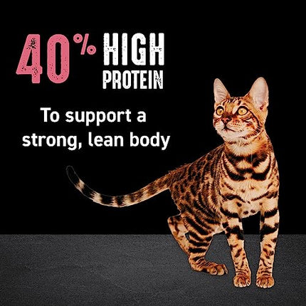 Buy CRAVE Grain Free Indoor Adult High Protein Natural Dry Cat Food with Protein from Chicken & Salmon, 4 lb. Bag in India India